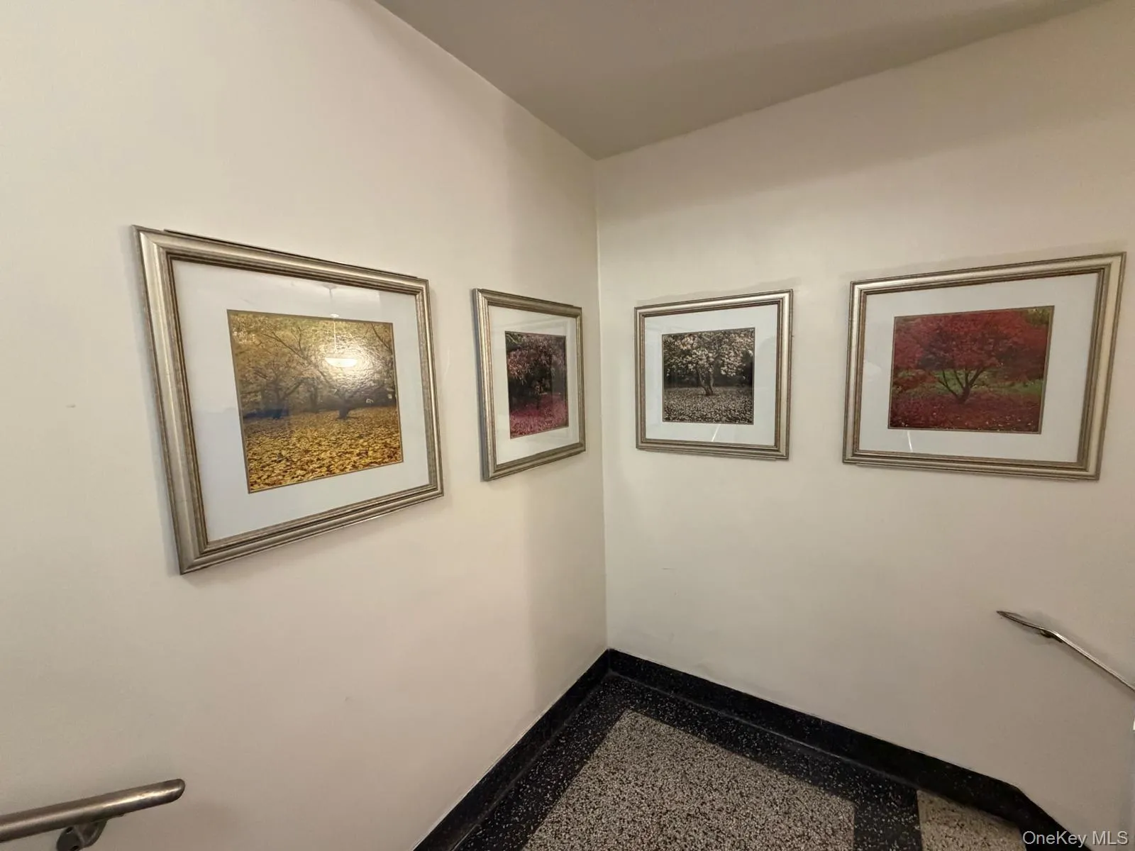 6510 108th Street, New York, NY, 1 Bedroom Bedrooms, 4 Rooms Rooms,1 BathroomBathrooms,Residential,For Rent,108th,0,1043196 6510 108th Street, New York, NY, 1 Bedroom Bedrooms, 4 Rooms Rooms,1 BathroomBathrooms,Residential,For Rent,108th,0,1043196