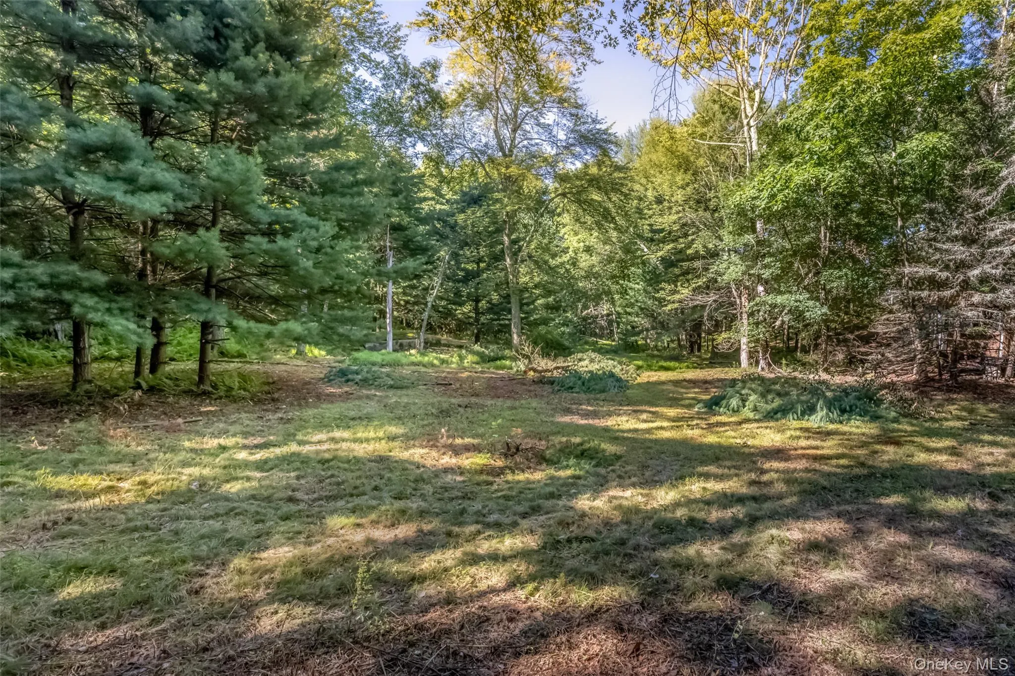 Old Plank Road, Wawarsing, NY, ,Land,For Rent,Old Plank,0,1043198 Old Plank Road, Wawarsing, NY, ,Land,For Rent,Old Plank,0,1043198