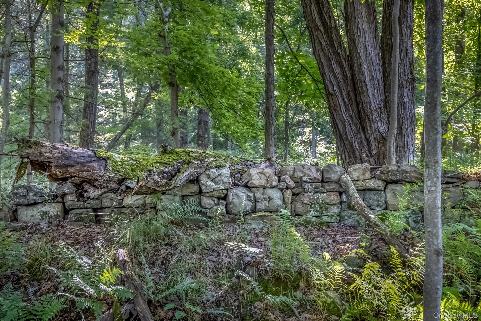 Old Plank Road, Wawarsing, NY, ,Land,For Rent,Old Plank,0,1043198 Old Plank Road, Wawarsing, NY, ,Land,For Rent,Old Plank,0,1043198