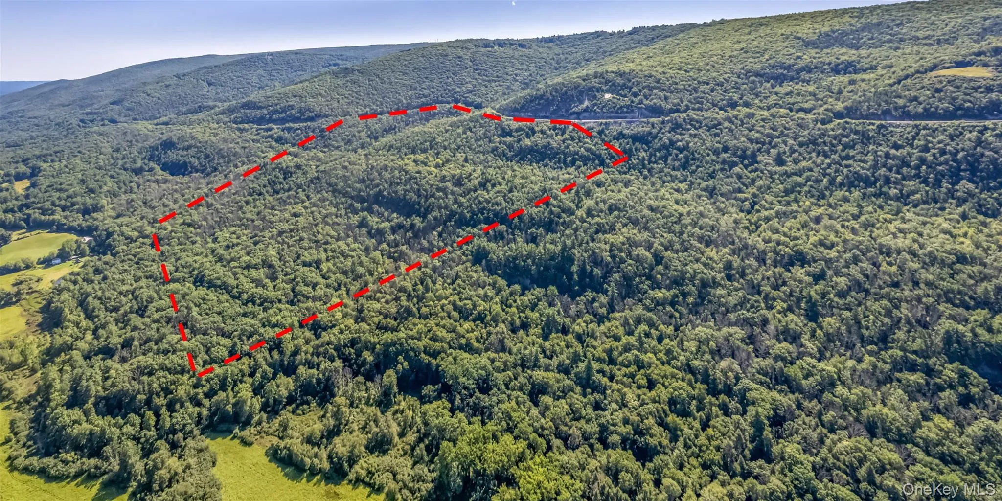Old Plank Road, Wawarsing, NY, ,Land,For Rent,Old Plank,0,1043198 Old Plank Road, Wawarsing, NY, ,Land,For Rent,Old Plank,0,1043198