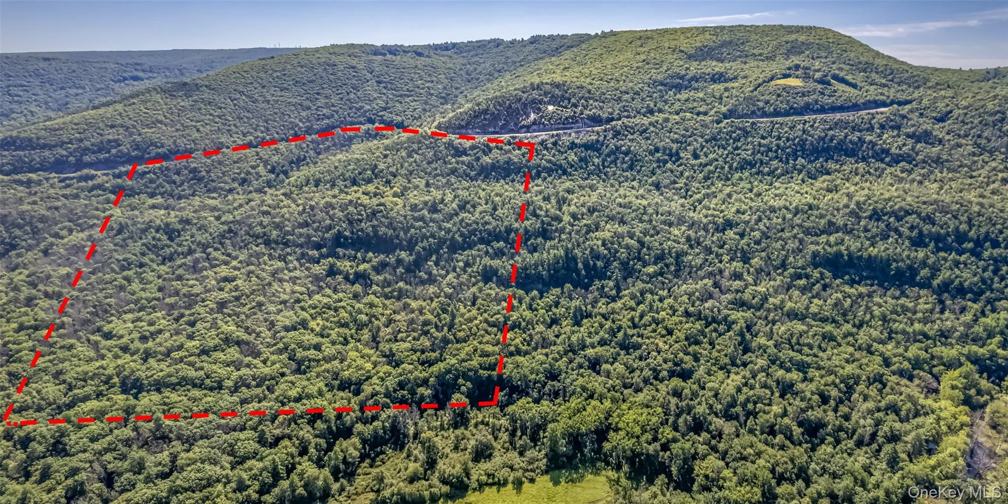Old Plank Road, Wawarsing, NY, ,Land,For Rent,Old Plank,0,1043198 Old Plank Road, Wawarsing, NY, ,Land,For Rent,Old Plank,0,1043198