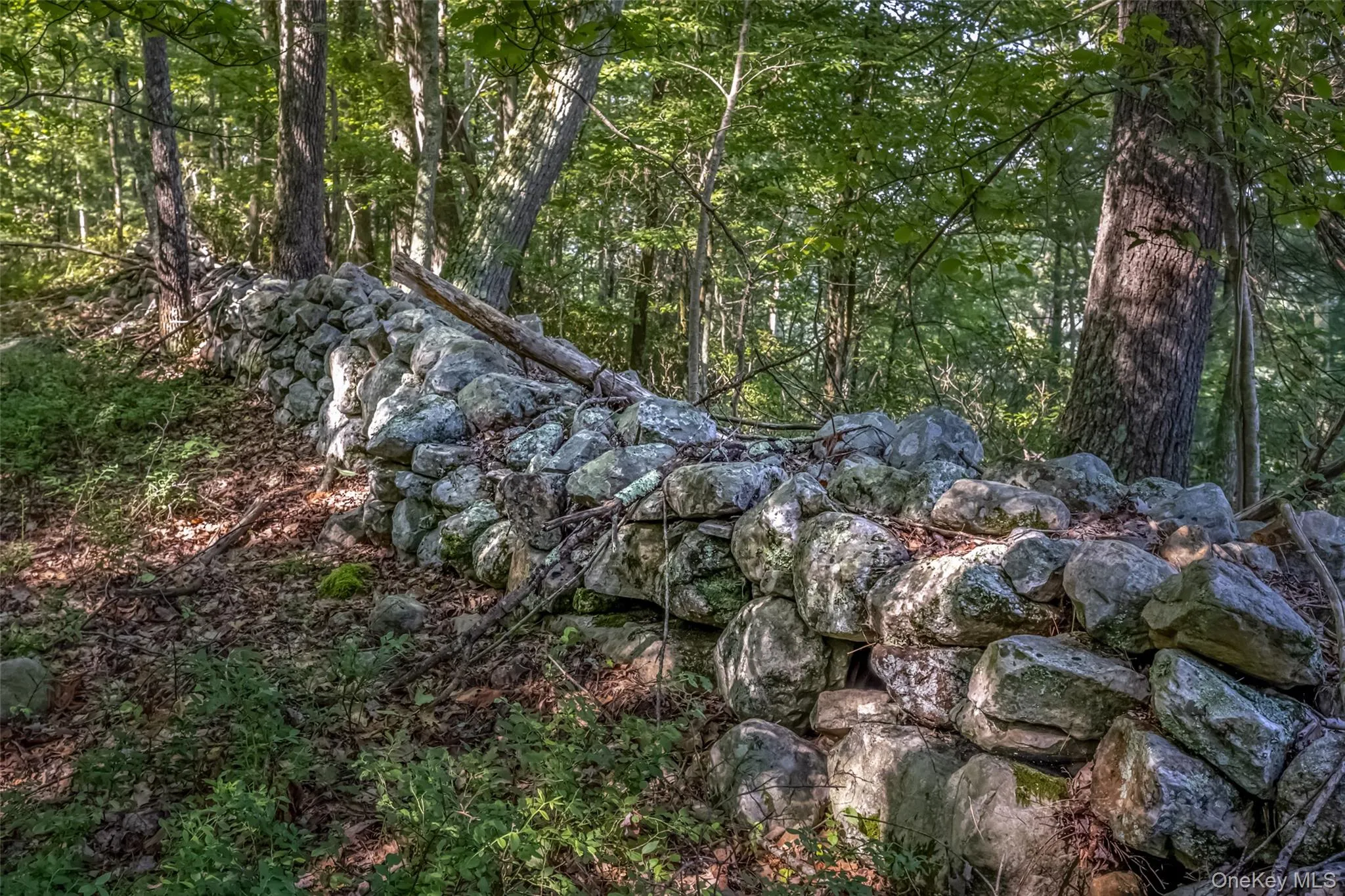 Old Plank Road, Wawarsing, NY, ,Land,For Rent,Old Plank,0,1043198 Old Plank Road, Wawarsing, NY, ,Land,For Rent,Old Plank,0,1043198
