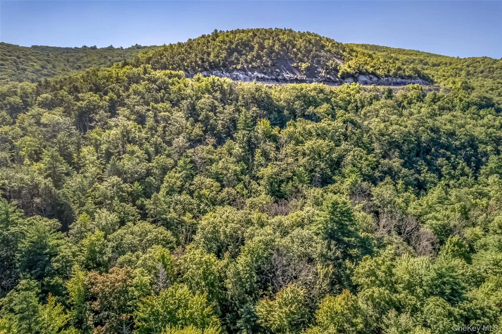 Old Plank Road, Wawarsing, NY, ,Land,For Rent,Old Plank,0,1043198 Old Plank Road, Wawarsing, NY, ,Land,For Rent,Old Plank,0,1043198