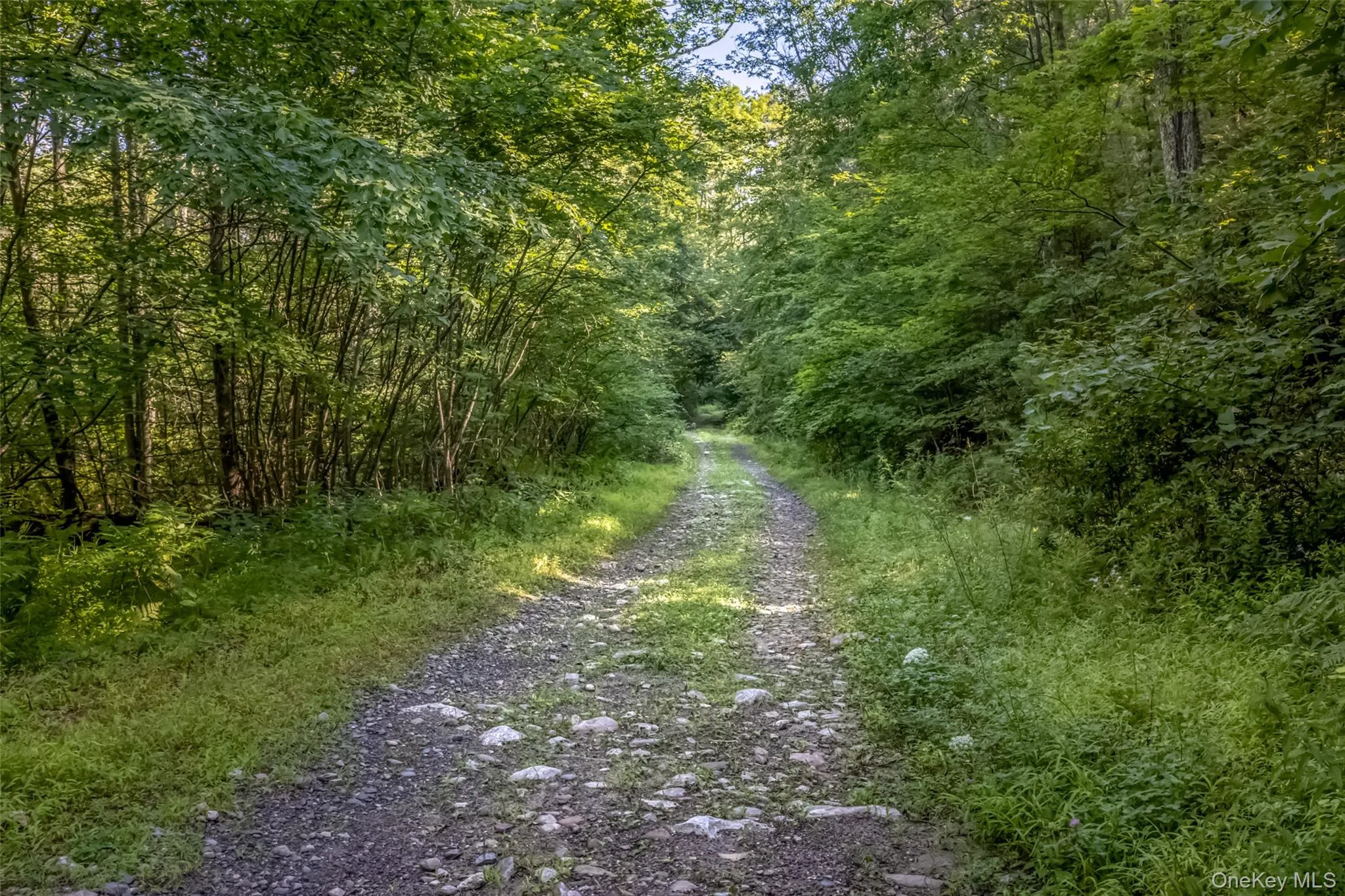Old Plank Road, Wawarsing, NY, ,Land,For Rent,Old Plank,0,1043198 Old Plank Road, Wawarsing, NY, ,Land,For Rent,Old Plank,0,1043198