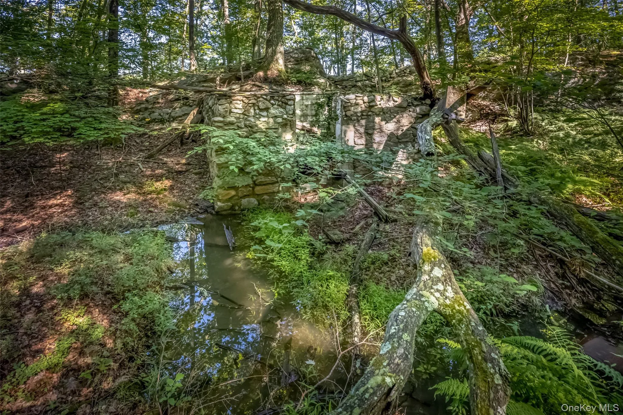 Old Plank Road, Wawarsing, NY, ,Land,For Rent,Old Plank,0,1043198 Old Plank Road, Wawarsing, NY, ,Land,For Rent,Old Plank,0,1043198