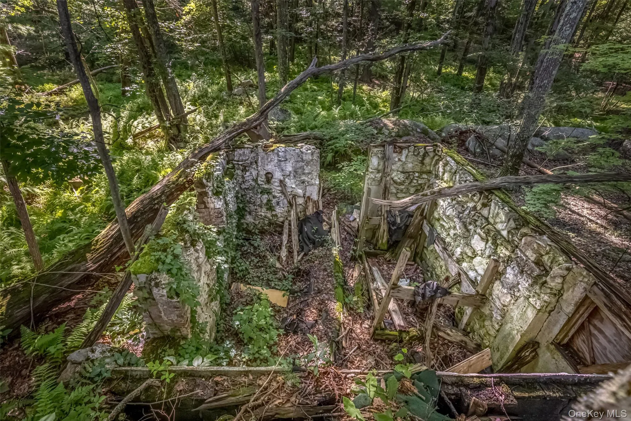 Old Plank Road, Wawarsing, NY, ,Land,For Rent,Old Plank,0,1043198 Old Plank Road, Wawarsing, NY, ,Land,For Rent,Old Plank,0,1043198