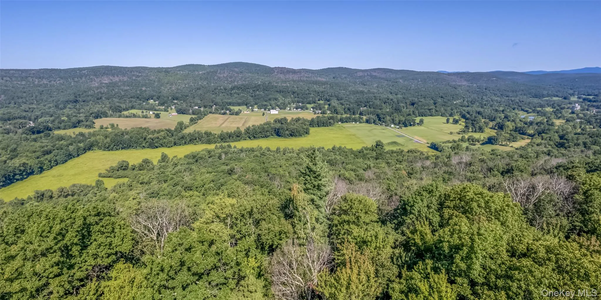 Old Plank Road, Wawarsing, NY, ,Land,For Rent,Old Plank,0,1043198 Old Plank Road, Wawarsing, NY, ,Land,For Rent,Old Plank,0,1043198