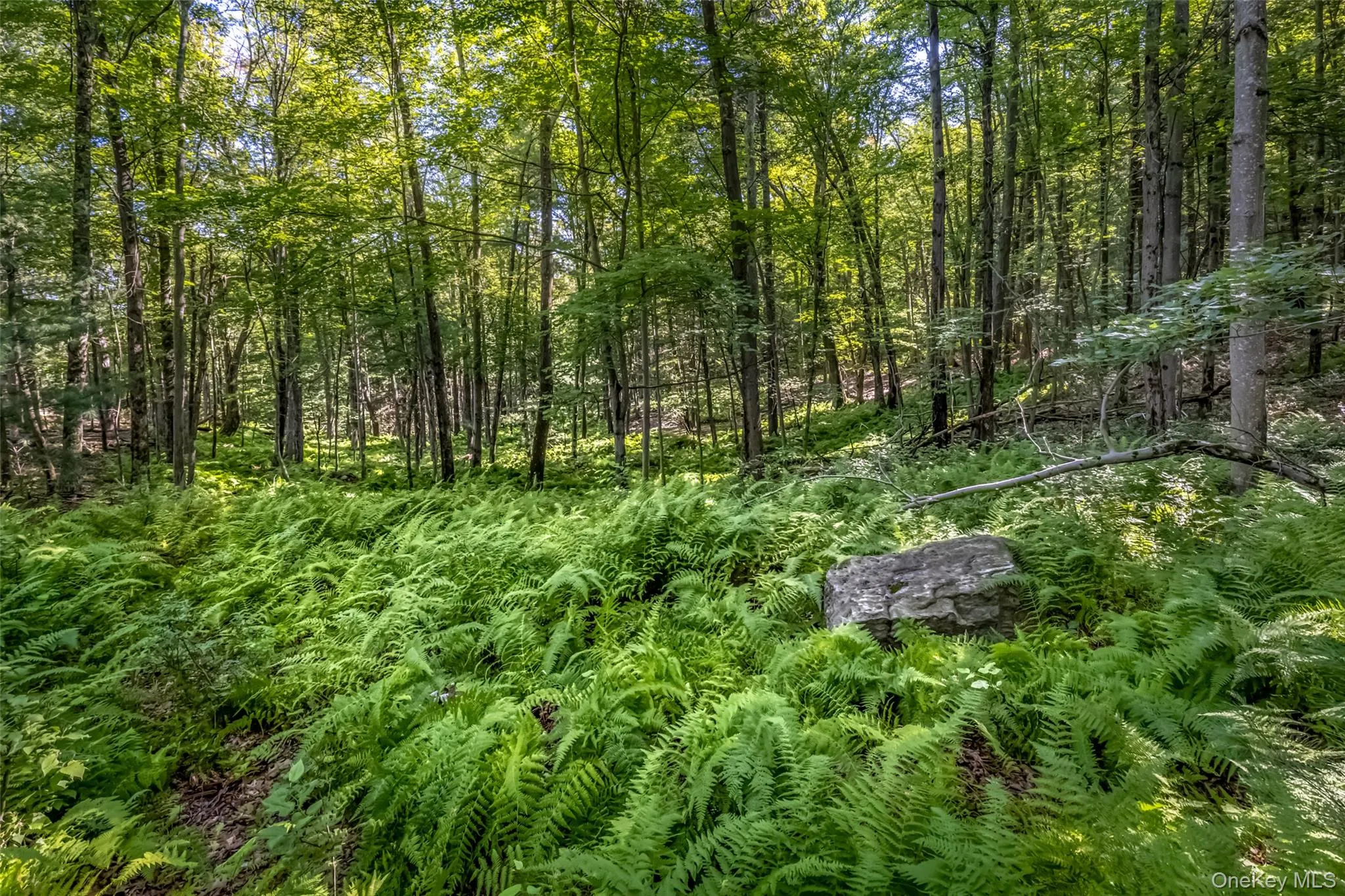 Old Plank Road, Wawarsing, NY, ,Land,For Rent,Old Plank,0,1043198 Old Plank Road, Wawarsing, NY, ,Land,For Rent,Old Plank,0,1043198
