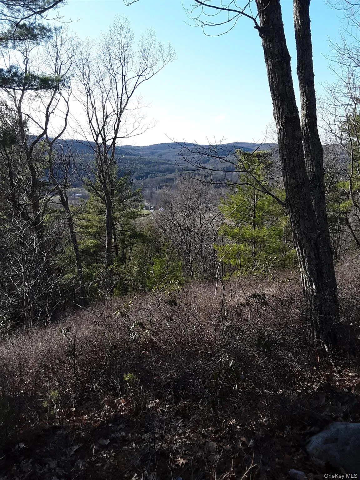 Old Plank Road, Wawarsing, NY, ,Land,For Rent,Old Plank,0,1043198 Old Plank Road, Wawarsing, NY, ,Land,For Rent,Old Plank,0,1043198