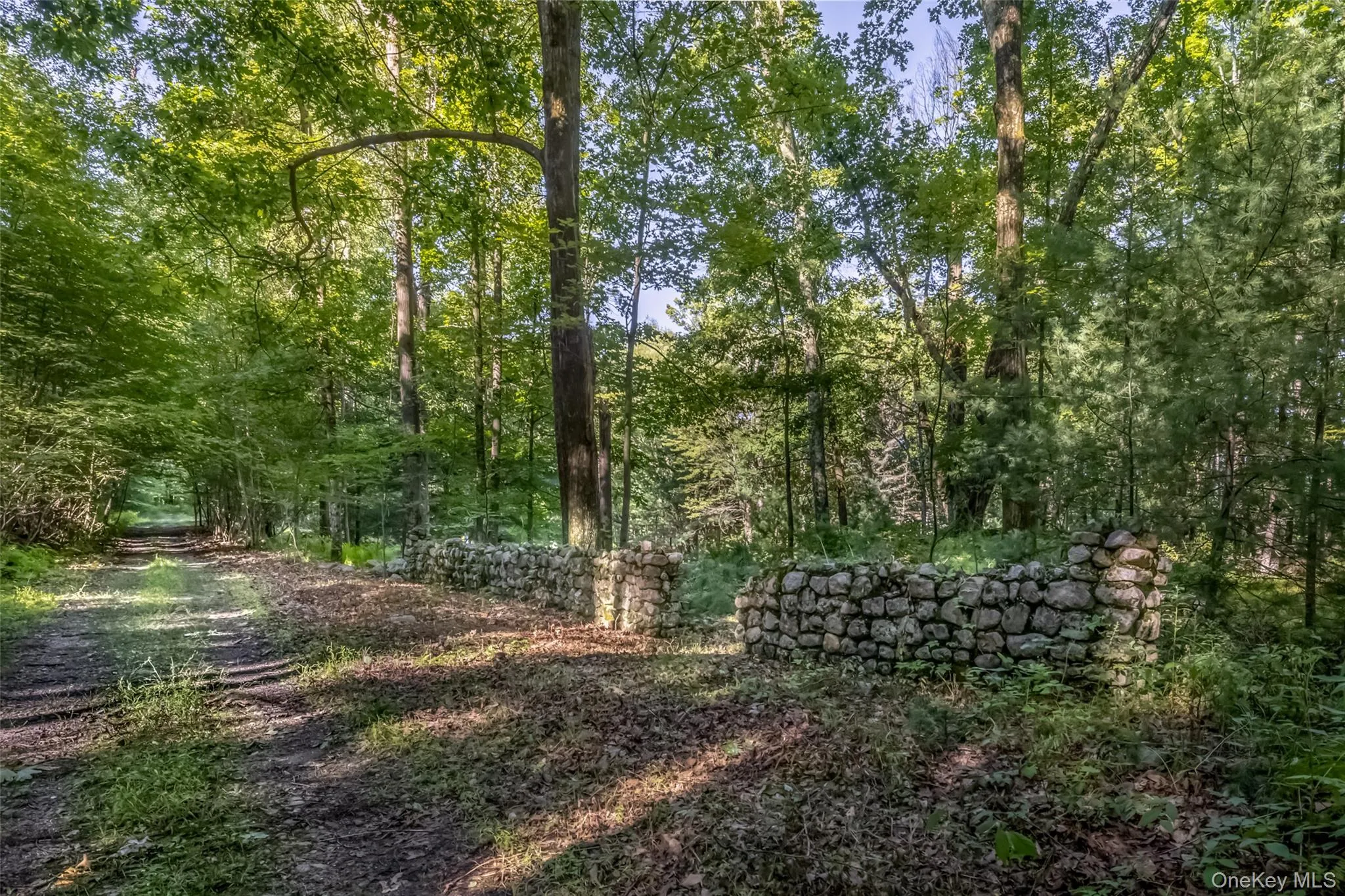 Old Plank Road, Wawarsing, NY, ,Land,For Rent,Old Plank,0,1043198 Old Plank Road, Wawarsing, NY, ,Land,For Rent,Old Plank,0,1043198