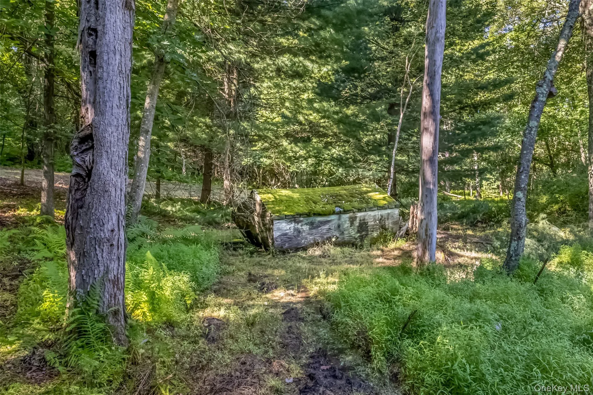 Old Plank Road, Wawarsing, NY, ,Land,For Rent,Old Plank,0,1043198 Old Plank Road, Wawarsing, NY, ,Land,For Rent,Old Plank,0,1043198
