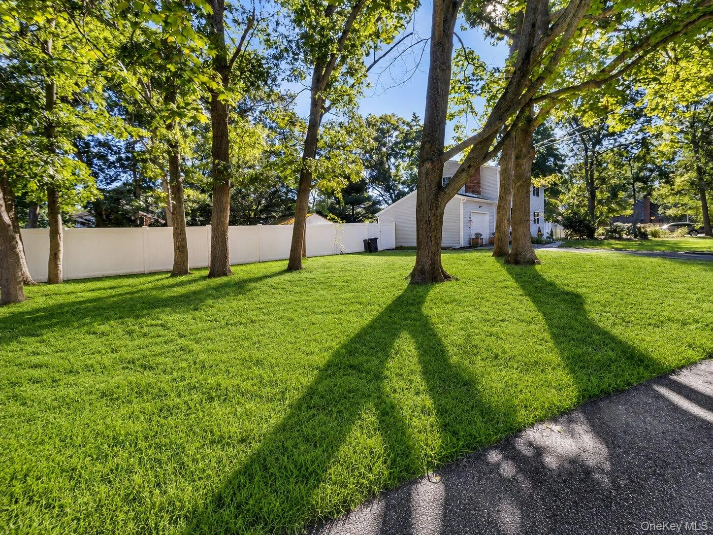159 Pauls Path, Brookhaven, NY, 4 Bedrooms Bedrooms, 8 Rooms Rooms,2 BathroomsBathrooms,Residential,For Rent,Pauls,0,1043272 159 Pauls Path, Brookhaven, NY, 4 Bedrooms Bedrooms, 8 Rooms Rooms,2 BathroomsBathrooms,Residential,For Rent,Pauls,0,1043272