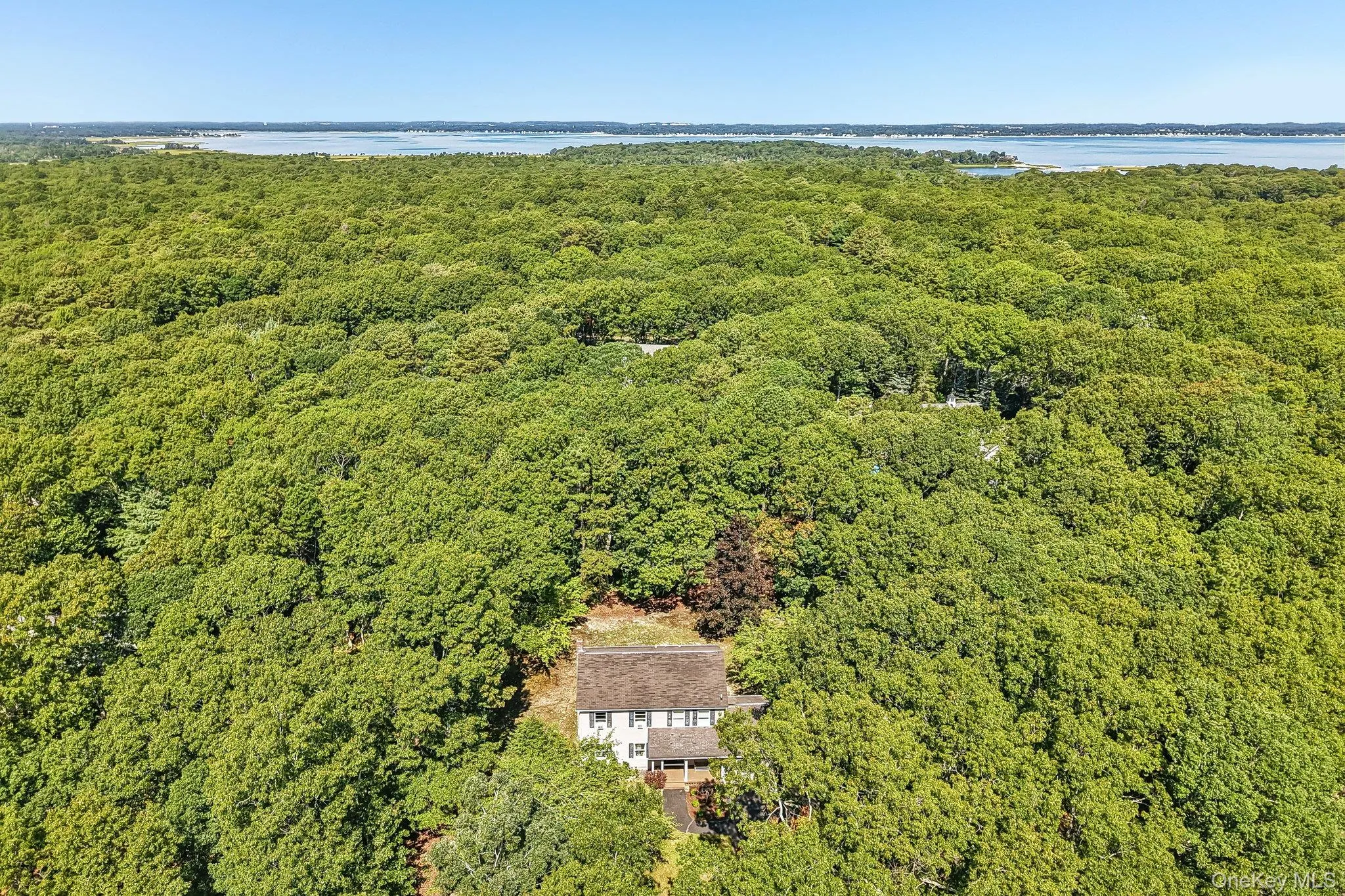4 Wooded Lane, Southampton, NY, 4 Bedrooms Bedrooms, 8 Rooms Rooms,2 BathroomsBathrooms,Residential,For Rent,Wooded,0,1043324 4 Wooded Lane, Southampton, NY, 4 Bedrooms Bedrooms, 8 Rooms Rooms,2 BathroomsBathrooms,Residential,For Rent,Wooded,0,1043324