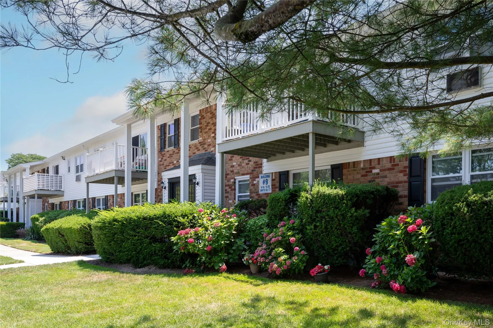 260 Waverly Avenue, Brookhaven, NY, 1 Bedroom Bedrooms, 3 Rooms Rooms,1 BathroomBathrooms,Residential,For Rent,Waverly,0,1043367 260 Waverly Avenue, Brookhaven, NY, 1 Bedroom Bedrooms, 3 Rooms Rooms,1 BathroomBathrooms,Residential,For Rent,Waverly,0,1043367