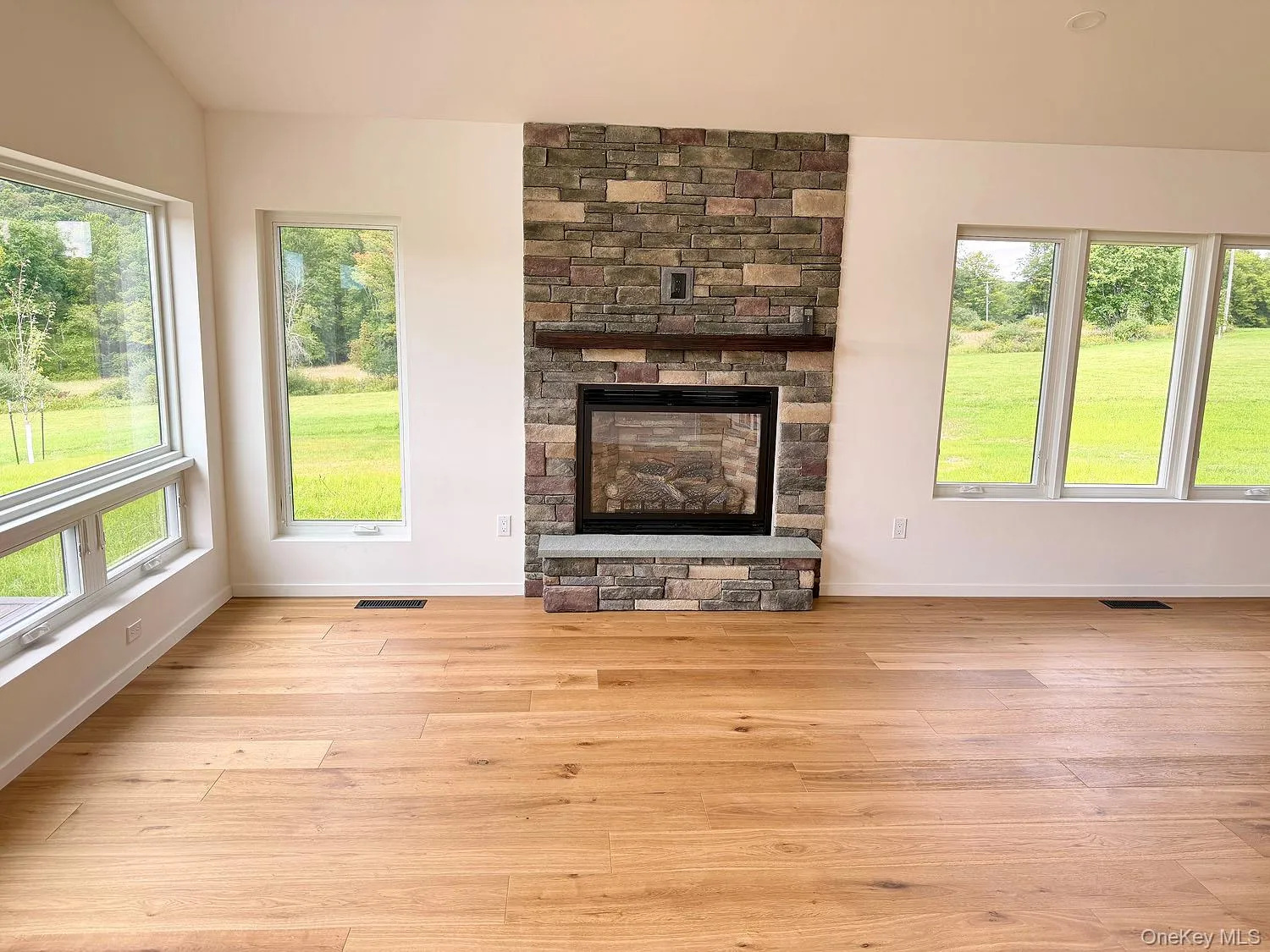 LP gas fireplace in living room LP gas fireplace in living room