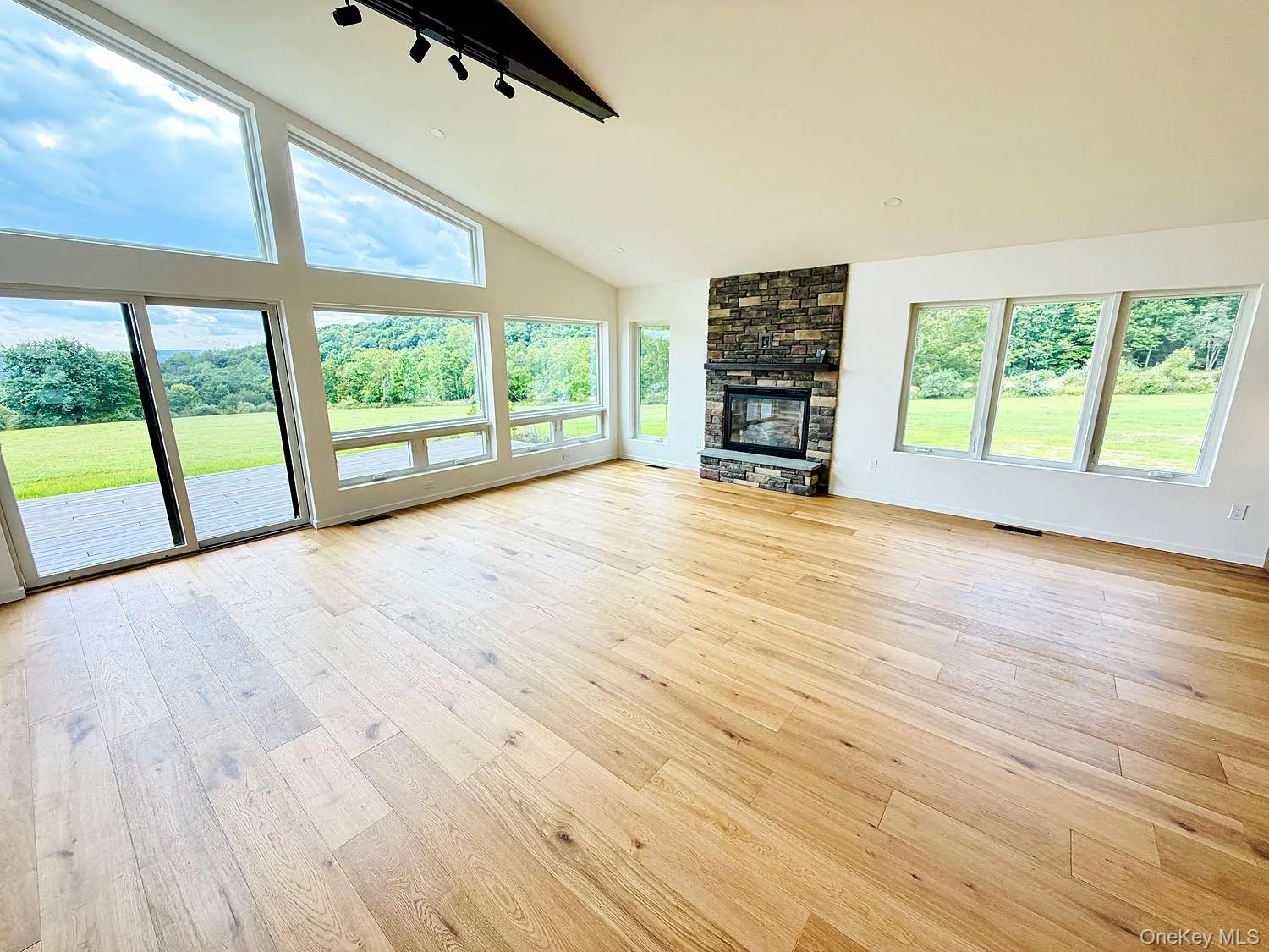 So much light from a wall of windows! High ceilings, fireplace So much light from a wall of windows! High ceilings, fireplace