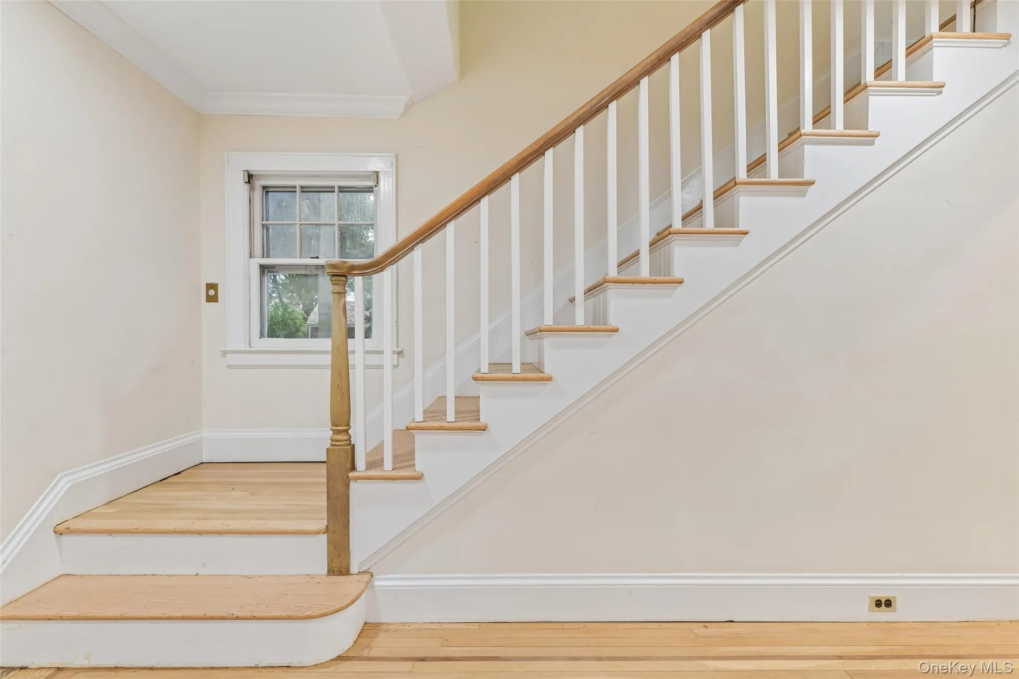 204 Auburn Street, North Hempstead, NY, 3 Bedrooms Bedrooms, 7 Rooms Rooms,1 BathroomBathrooms,Residential,For Rent,Auburn,0,1043406 204 Auburn Street, North Hempstead, NY, 3 Bedrooms Bedrooms, 7 Rooms Rooms,1 BathroomBathrooms,Residential,For Rent,Auburn,0,1043406
