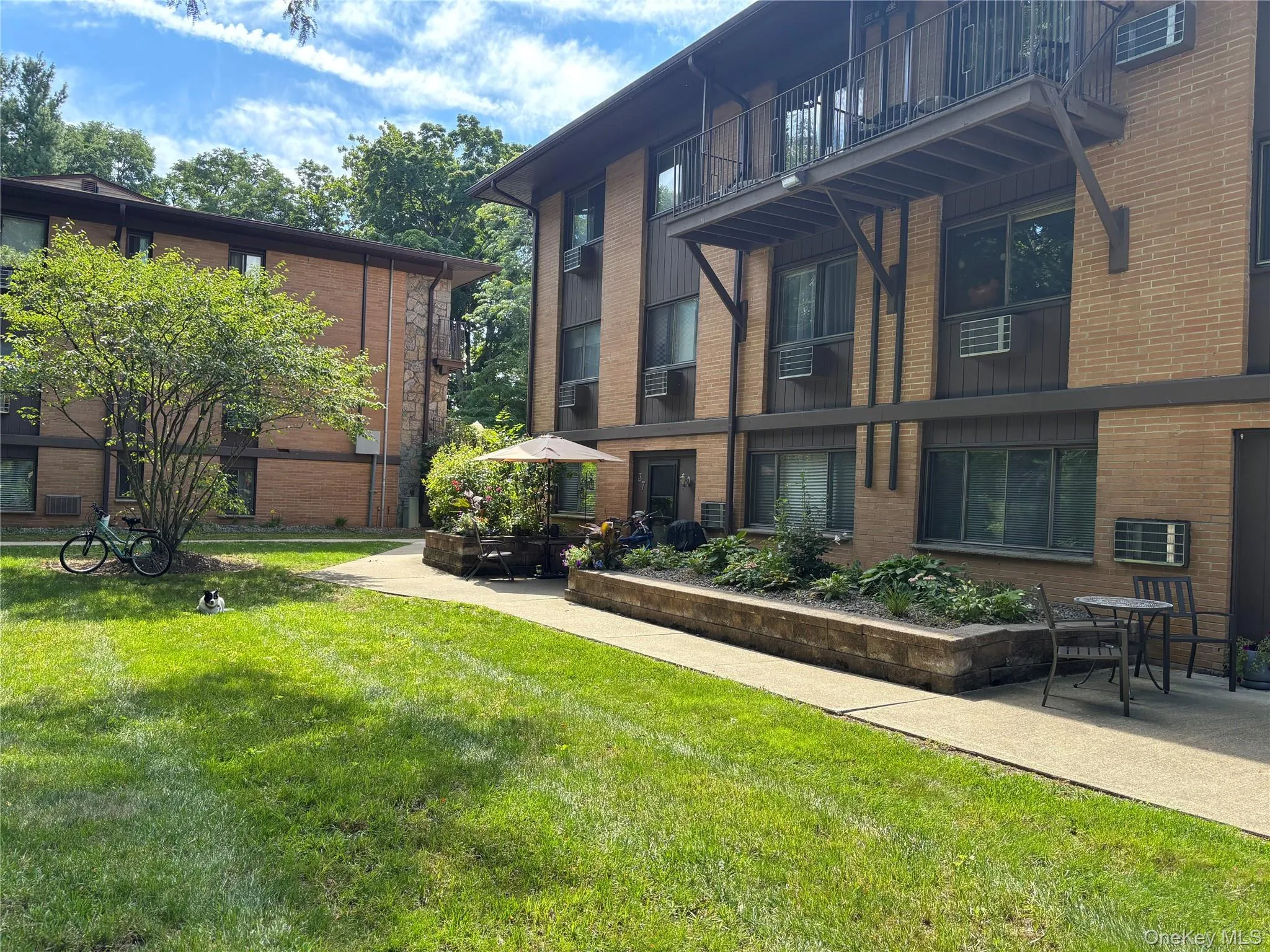 10 Oakwood Terrace, New Windsor, NY, 3 Bedrooms Bedrooms, 6 Rooms Rooms,2 BathroomsBathrooms,Residential,For Rent,Oakwood Terrace,0,1043409 10 Oakwood Terrace, New Windsor, NY, 3 Bedrooms Bedrooms, 6 Rooms Rooms,2 BathroomsBathrooms,Residential,For Rent,Oakwood Terrace,0,1043409