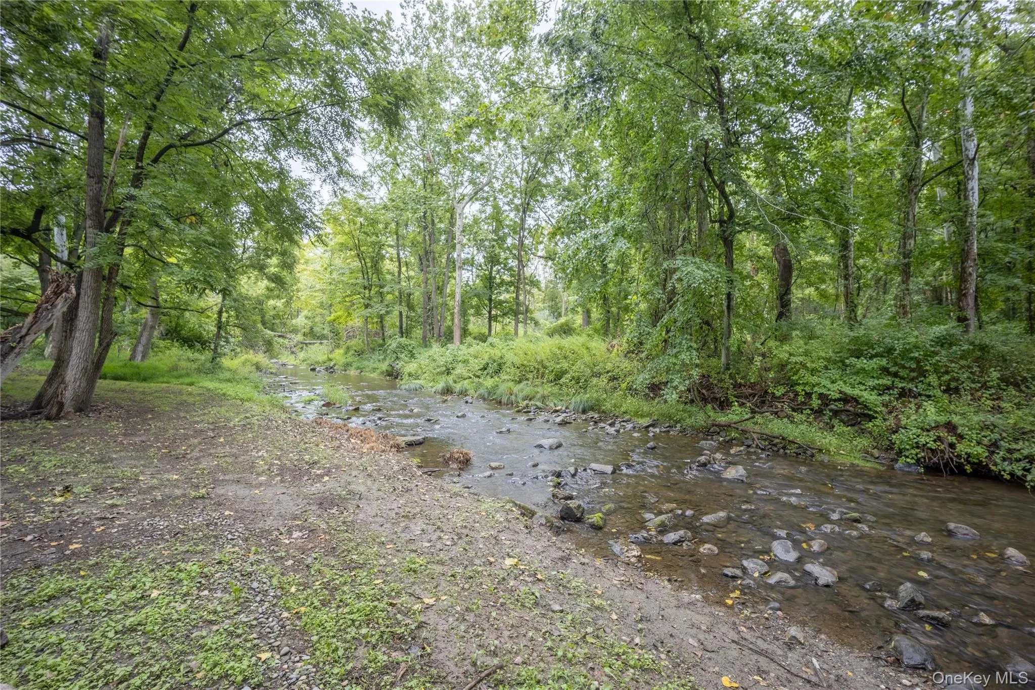 1440 Noxon Road, La Grange, NY, 3 Bedrooms Bedrooms, 11 Rooms Rooms,3 BathroomsBathrooms,Residential,For Rent,Noxon,0,1043438 1440 Noxon Road, La Grange, NY, 3 Bedrooms Bedrooms, 11 Rooms Rooms,3 BathroomsBathrooms,Residential,For Rent,Noxon,0,1043438