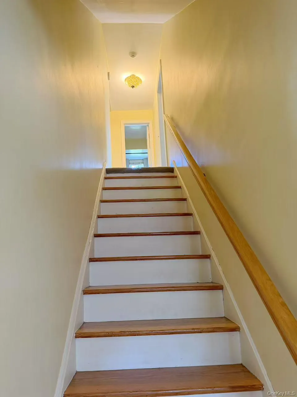 68 Woodbine Road, North Hempstead, NY, 4 Bedrooms Bedrooms, 8 Rooms Rooms,2 BathroomsBathrooms,Residential,For Rent,Woodbine,0,1043443 68 Woodbine Road, North Hempstead, NY, 4 Bedrooms Bedrooms, 8 Rooms Rooms,2 BathroomsBathrooms,Residential,For Rent,Woodbine,0,1043443