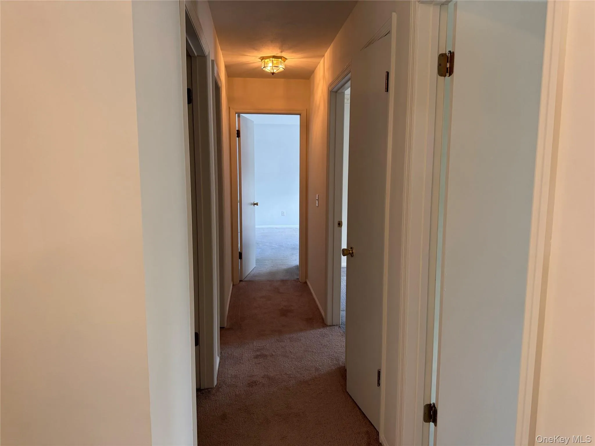 24 Olde Wagon Road, Warwick (town), NY, 3 Bedroom Bedrooms, 6 Room Rooms,2 BathroomBathrooms,Residential Lease,For Rent,Olde Wagon,0,1043464 24 Olde Wagon Road, Warwick (town), NY, 3 Bedroom Bedrooms, 6 Room Rooms,2 BathroomBathrooms,Residential Lease,For Rent,Olde Wagon,0,1043464