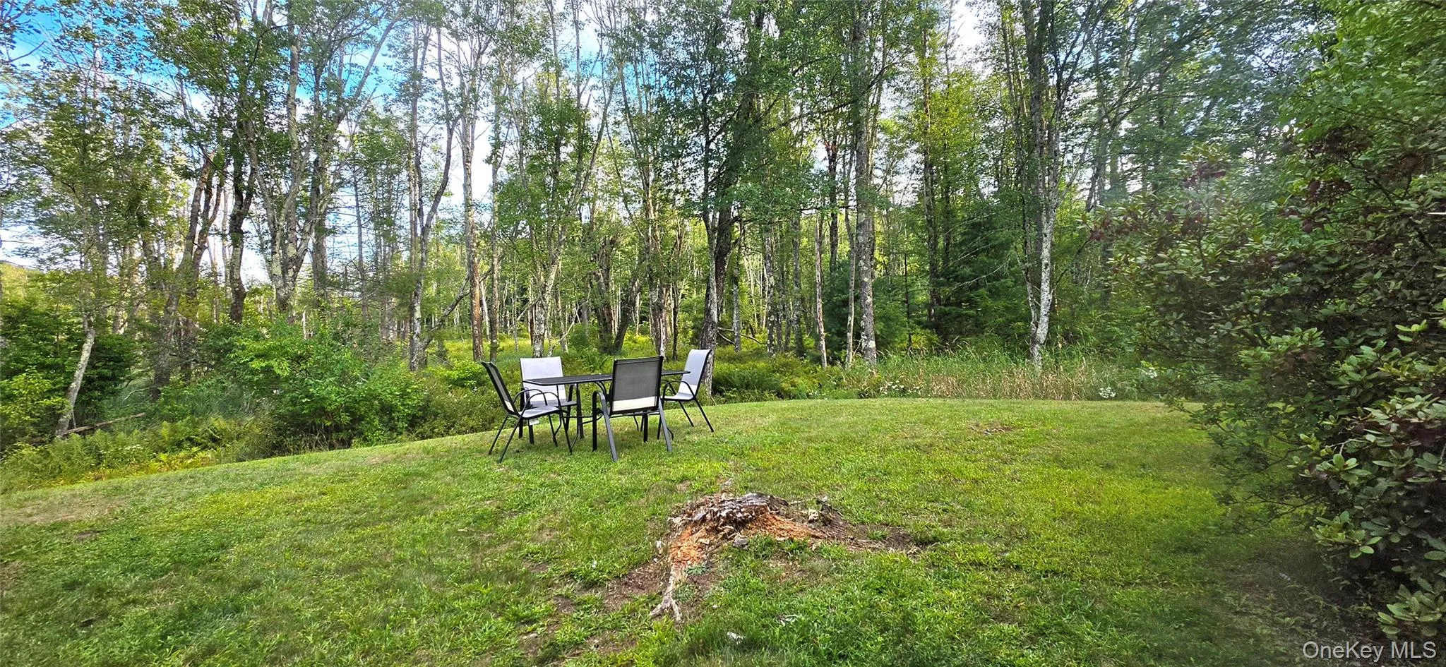 51 Peter Way, Thompson, NY, 3 Bedrooms Bedrooms, 5 Rooms Rooms,1 BathroomBathrooms,Residential,For Rent,Peter,0,1043512 51 Peter Way, Thompson, NY, 3 Bedrooms Bedrooms, 5 Rooms Rooms,1 BathroomBathrooms,Residential,For Rent,Peter,0,1043512