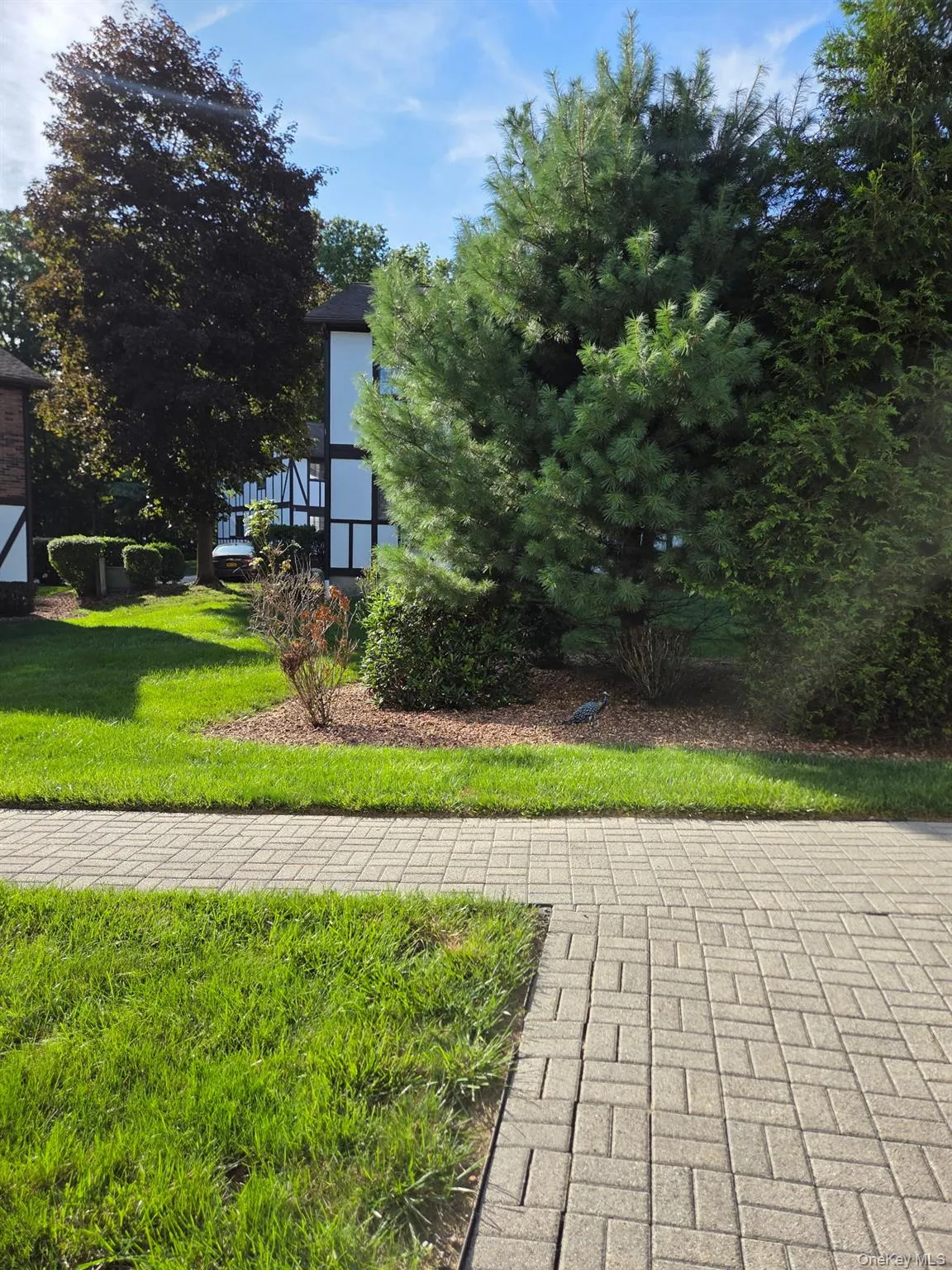 11 Brittany Drive, Middletown, NY, 1 Bedroom Bedrooms, 4 Rooms Rooms,1 BathroomBathrooms,Residential,For Rent,Brittany,0,1043527 11 Brittany Drive, Middletown, NY, 1 Bedroom Bedrooms, 4 Rooms Rooms,1 BathroomBathrooms,Residential,For Rent,Brittany,0,1043527