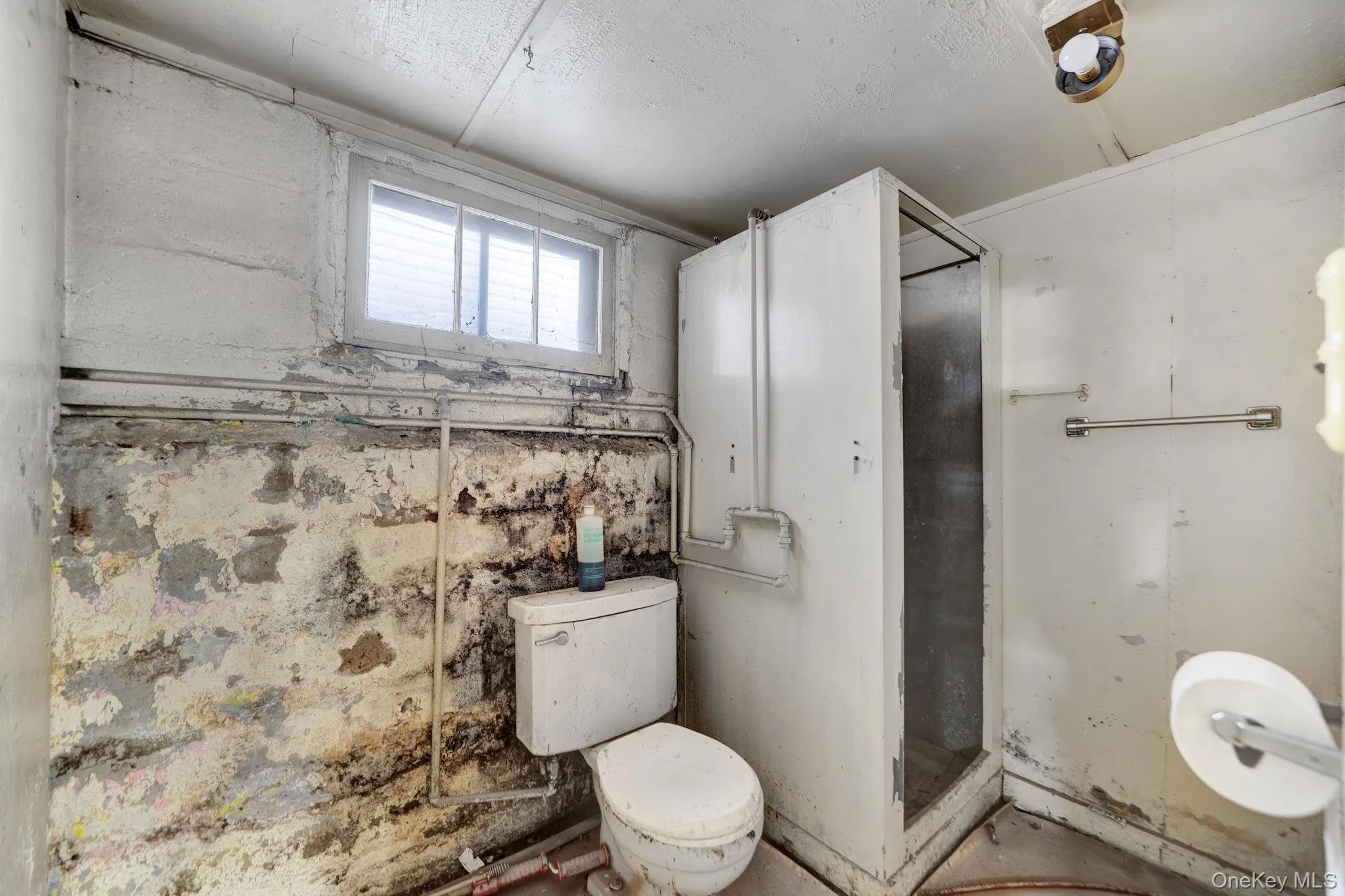 61-43 Wetherole Street, New York, NY, 3 Bedrooms Bedrooms, 5 Rooms Rooms,1 BathroomBathrooms,Residential,For Rent,Wetherole,0,1043533 61-43 Wetherole Street, New York, NY, 3 Bedrooms Bedrooms, 5 Rooms Rooms,1 BathroomBathrooms,Residential,For Rent,Wetherole,0,1043533