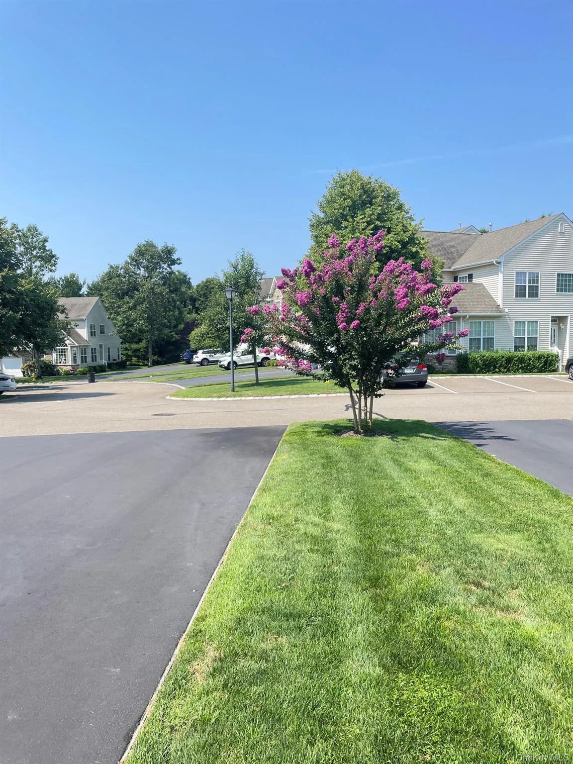90 Manitou Trail, Smithtown, NY, 3 Bedrooms Bedrooms, 7 Rooms Rooms,2 BathroomsBathrooms,Residential Lease,For Rent,Manitou,0,1043540 90 Manitou Trail, Smithtown, NY, 3 Bedrooms Bedrooms, 7 Rooms Rooms,2 BathroomsBathrooms,Residential Lease,For Rent,Manitou,0,1043540