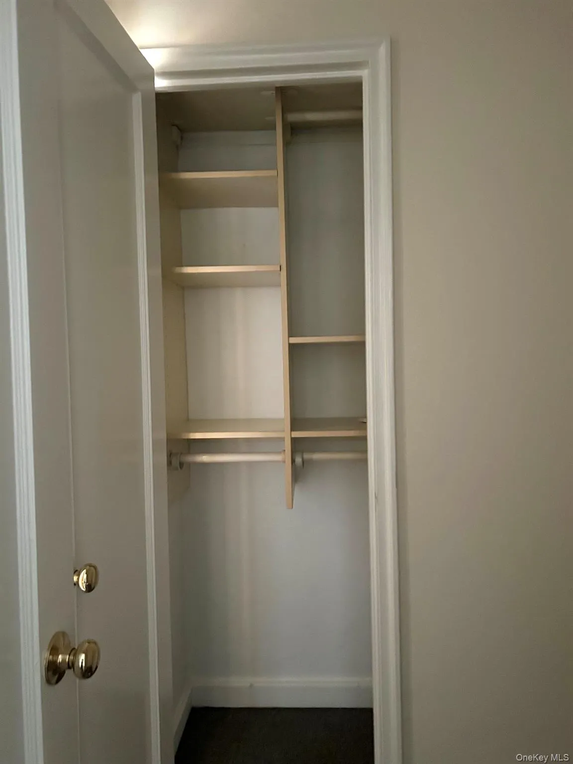 One of Two Closets in Dressing room. One of Two Closets in Dressing room.