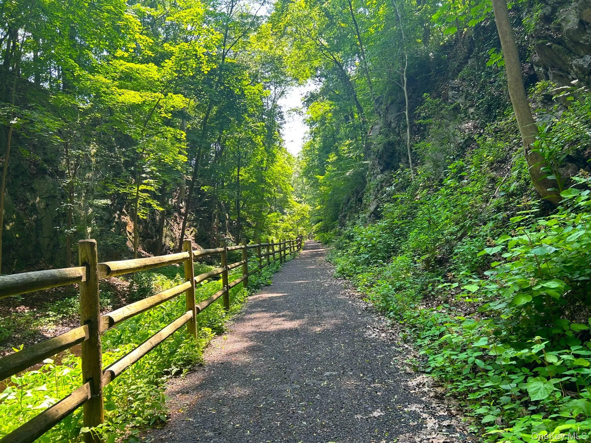 John Harrington trail just down the street. John Harrington trail just down the street.