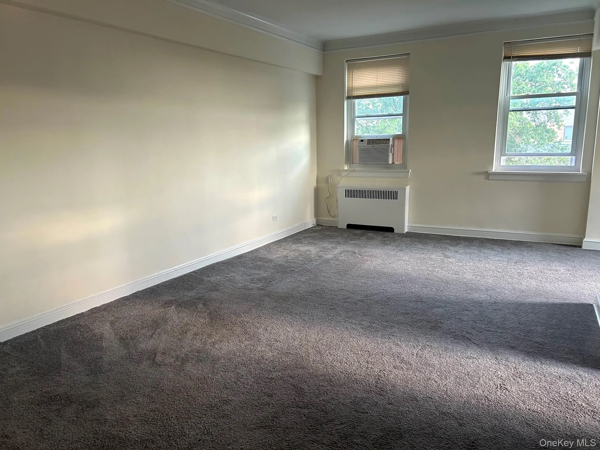 9 Foot Ceilings, Airy and Largest L-Shaped Studio at Surrey Strathmore. H/W under Carpet! 9 Foot Ceilings, Airy and Largest L-Shaped Studio at Surrey Strathmore. H/W under Carpet!