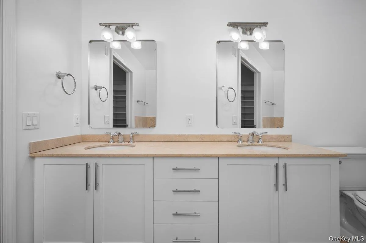 Dual Sinks Dual Sinks