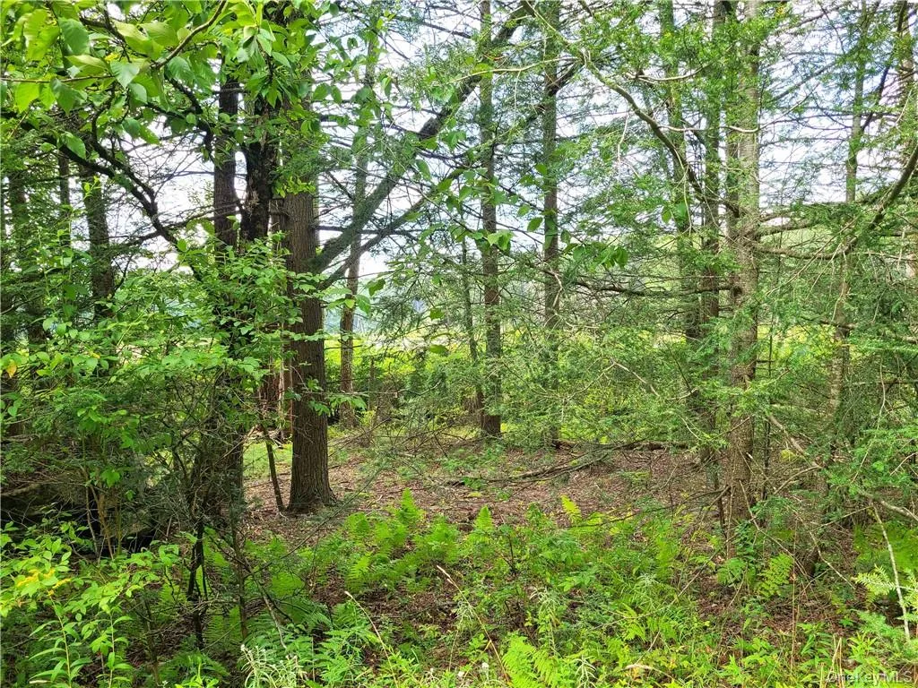 View of local wilderness View of local wilderness