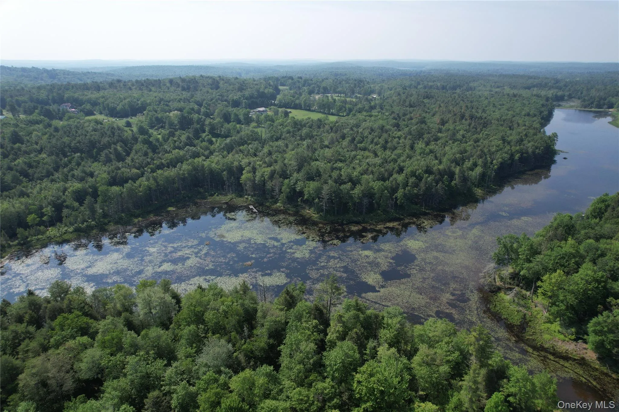 Aerial view of property and surrounding area featuring a heavily wooded area and a large body of water Aerial view of property and surrounding area featuring a heavily wooded area and a large body of water