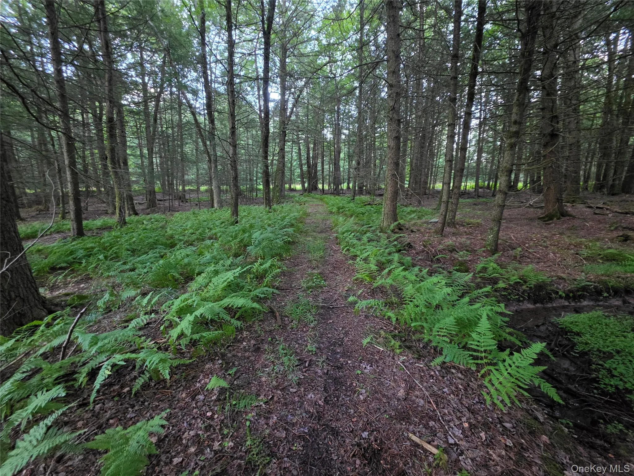 Lot 23 Deer Meadow Road, Bethel, NY, ,Land,For Rent,Deer Meadow,0,1043615 Lot 23 Deer Meadow Road, Bethel, NY, ,Land,For Rent,Deer Meadow,0,1043615