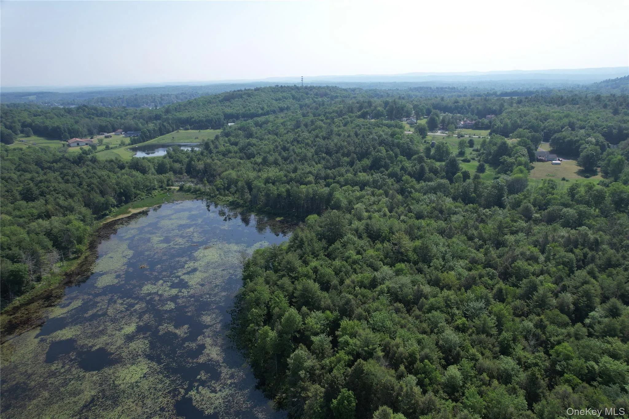 Bird's eye view of a forest and a nearby body of water Bird's eye view of a forest and a nearby body of water