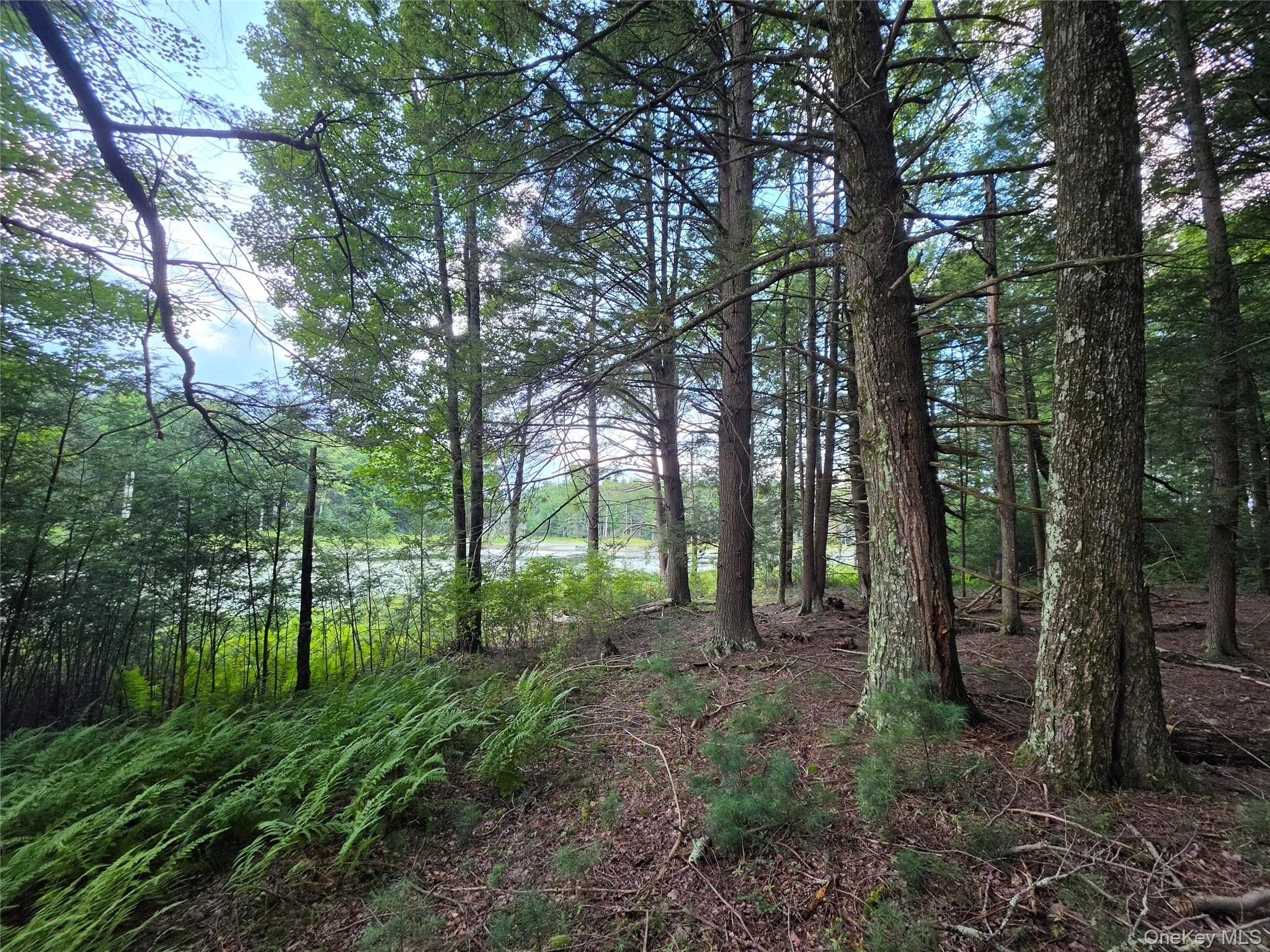 Lot 23 Deer Meadow Road, Bethel, NY, ,Land,For Rent,Deer Meadow,0,1043615 Lot 23 Deer Meadow Road, Bethel, NY, ,Land,For Rent,Deer Meadow,0,1043615