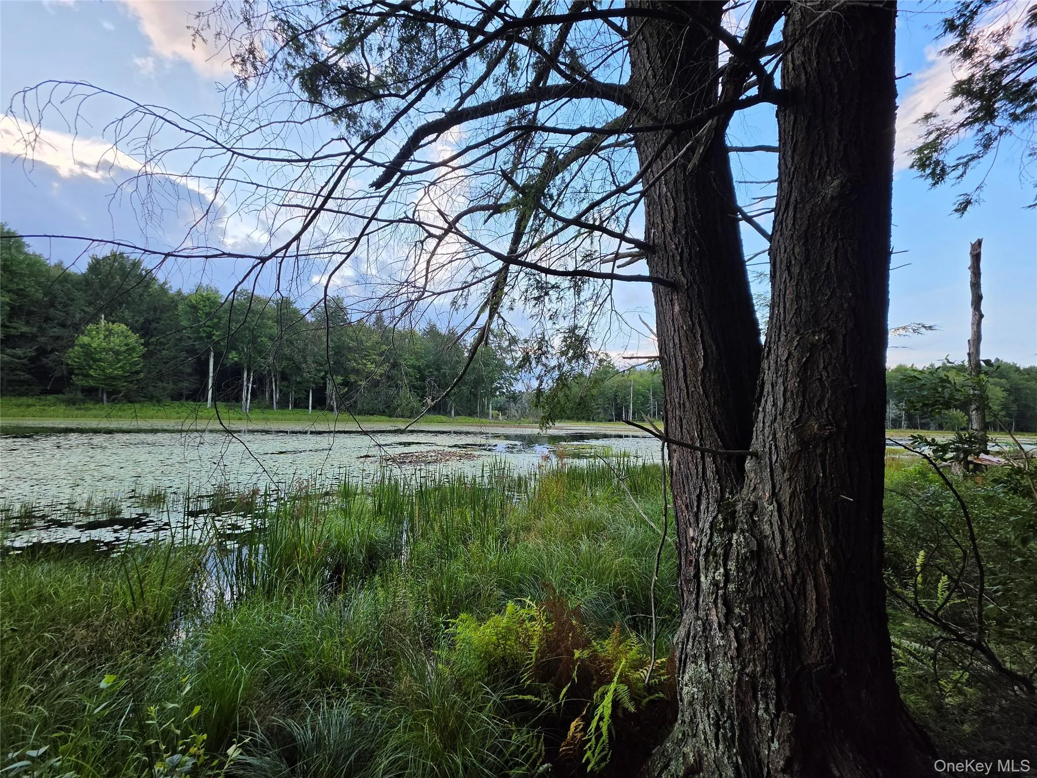 Lot 23 Deer Meadow Road, Bethel, NY, ,Land,For Rent,Deer Meadow,0,1043615 Lot 23 Deer Meadow Road, Bethel, NY, ,Land,For Rent,Deer Meadow,0,1043615