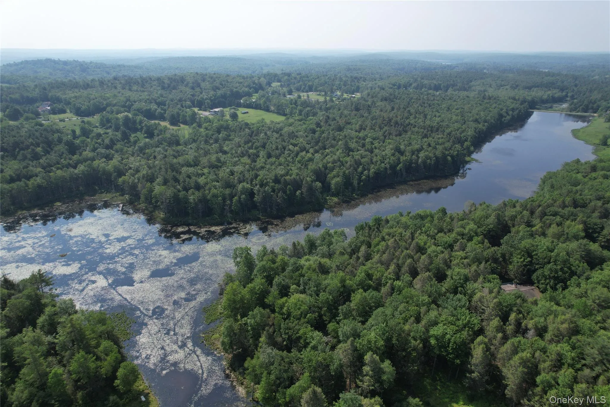 Aerial view of property's location with a forest and a large body of water Aerial view of property's location with a forest and a large body of water