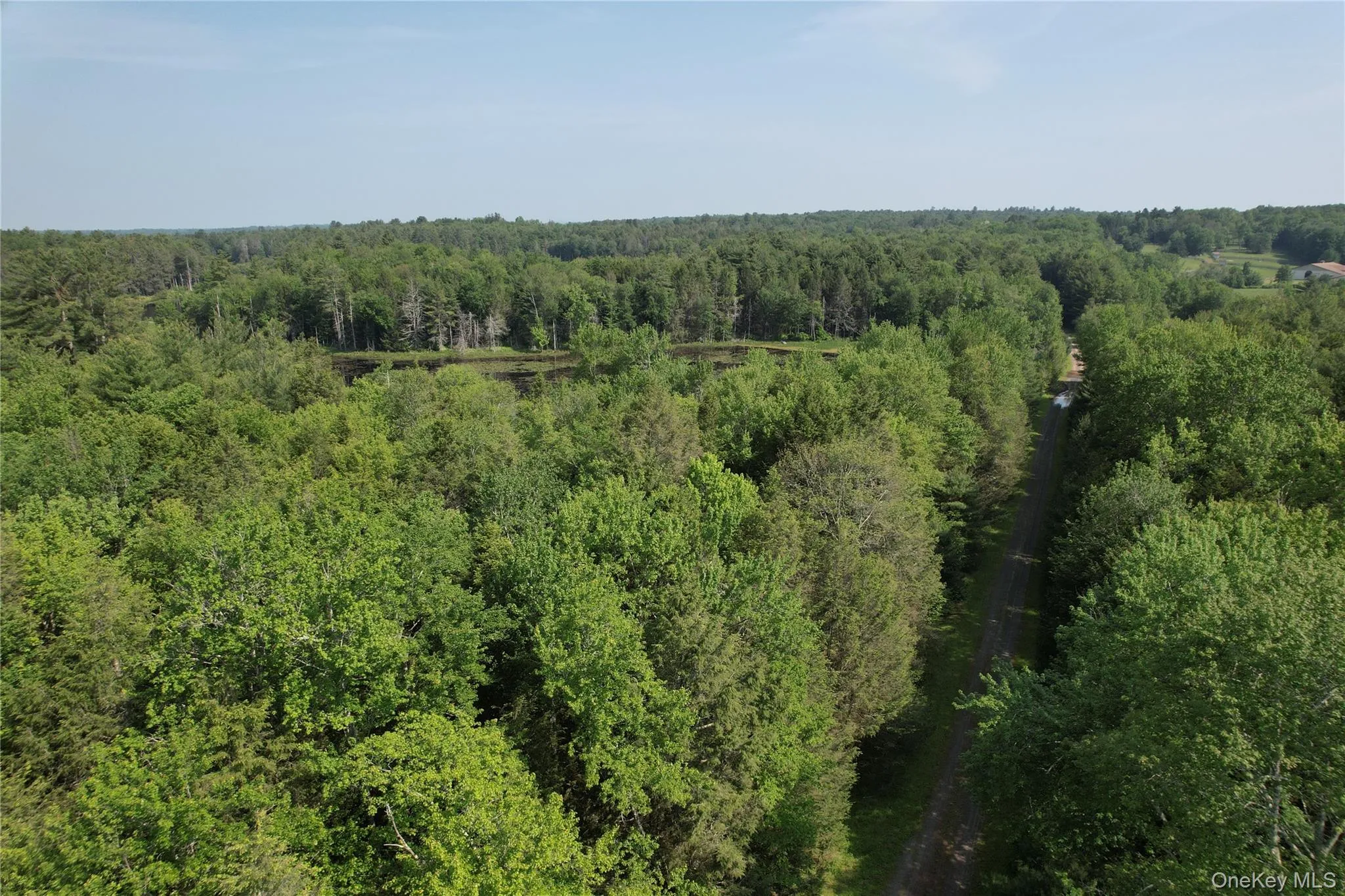 Bird's eye view of a heavily wooded area Bird's eye view of a heavily wooded area