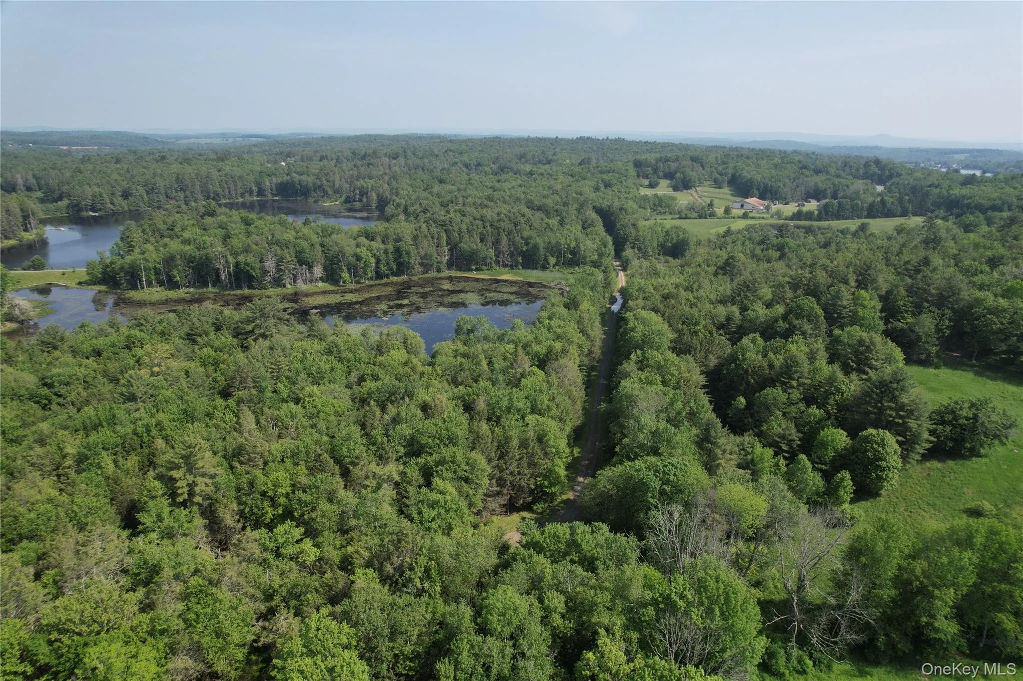 Drone / aerial view of a nearby body of water and a heavily wooded area Drone / aerial view of a nearby body of water and a heavily wooded area