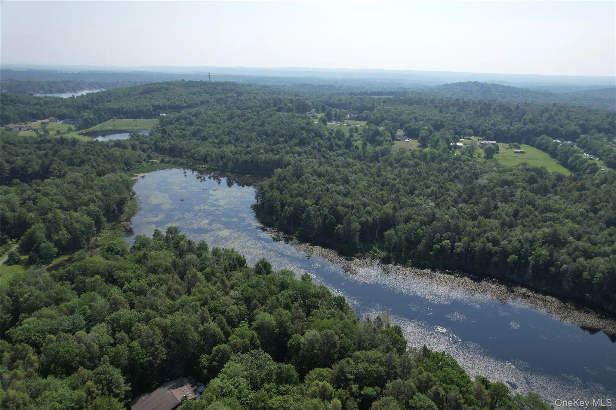 Drone / aerial view of a forest and a nearby body of water Drone / aerial view of a forest and a nearby body of water