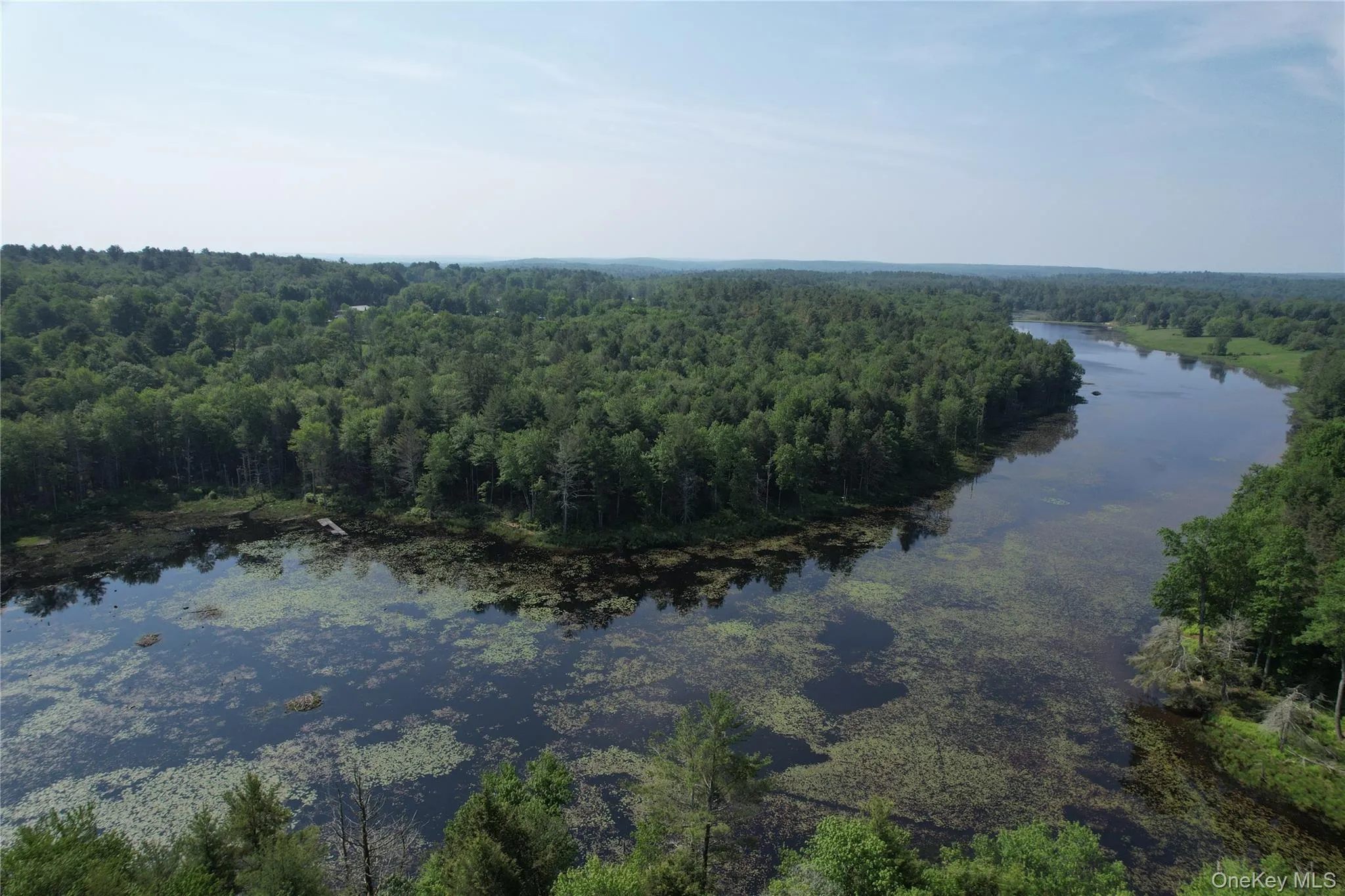 Aerial view of a heavily wooded area and a nearby body of water Aerial view of a heavily wooded area and a nearby body of water