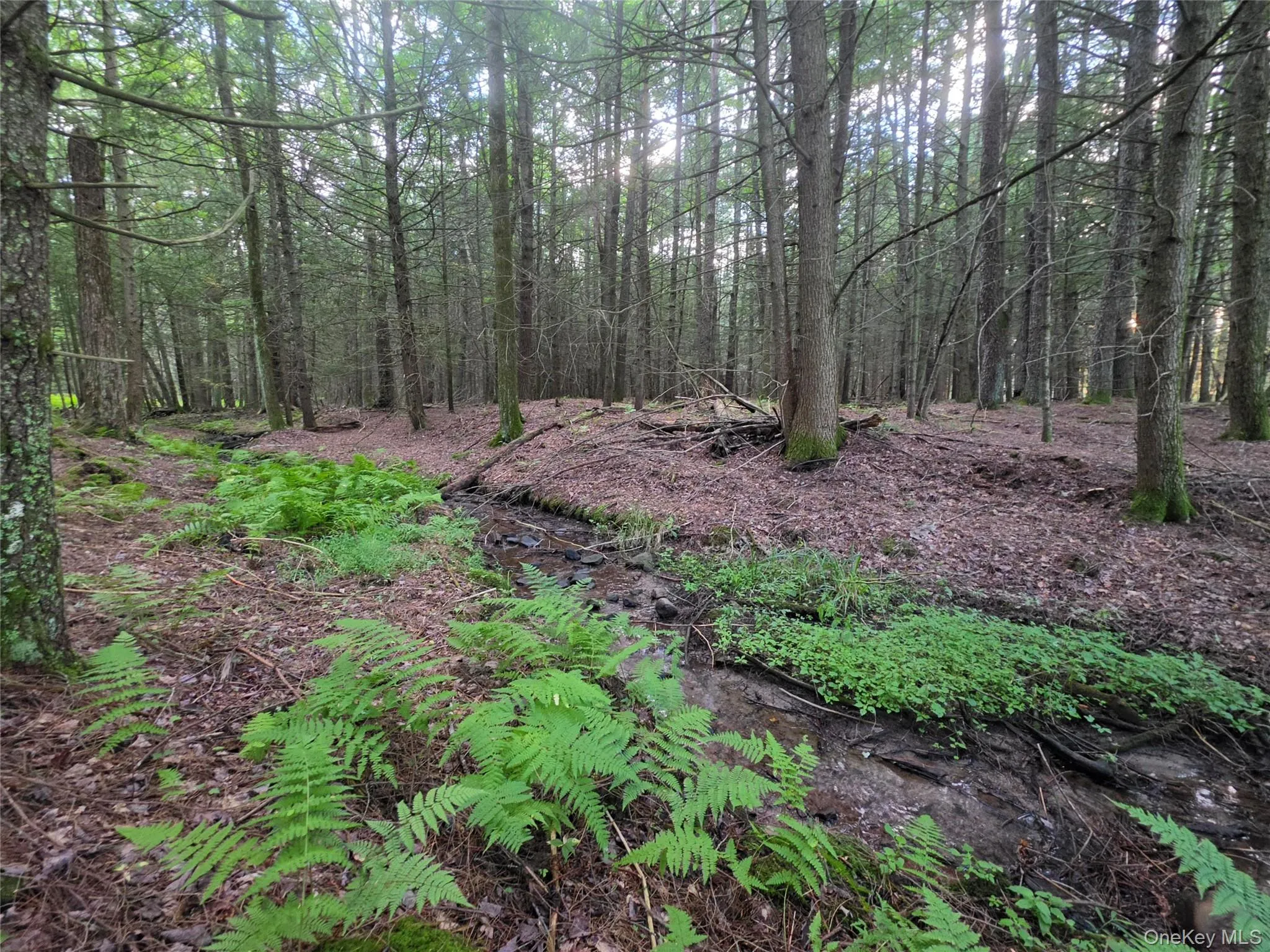 Lot 23 Deer Meadow Road, Bethel, NY, ,Land,For Rent,Deer Meadow,0,1043615 Lot 23 Deer Meadow Road, Bethel, NY, ,Land,For Rent,Deer Meadow,0,1043615