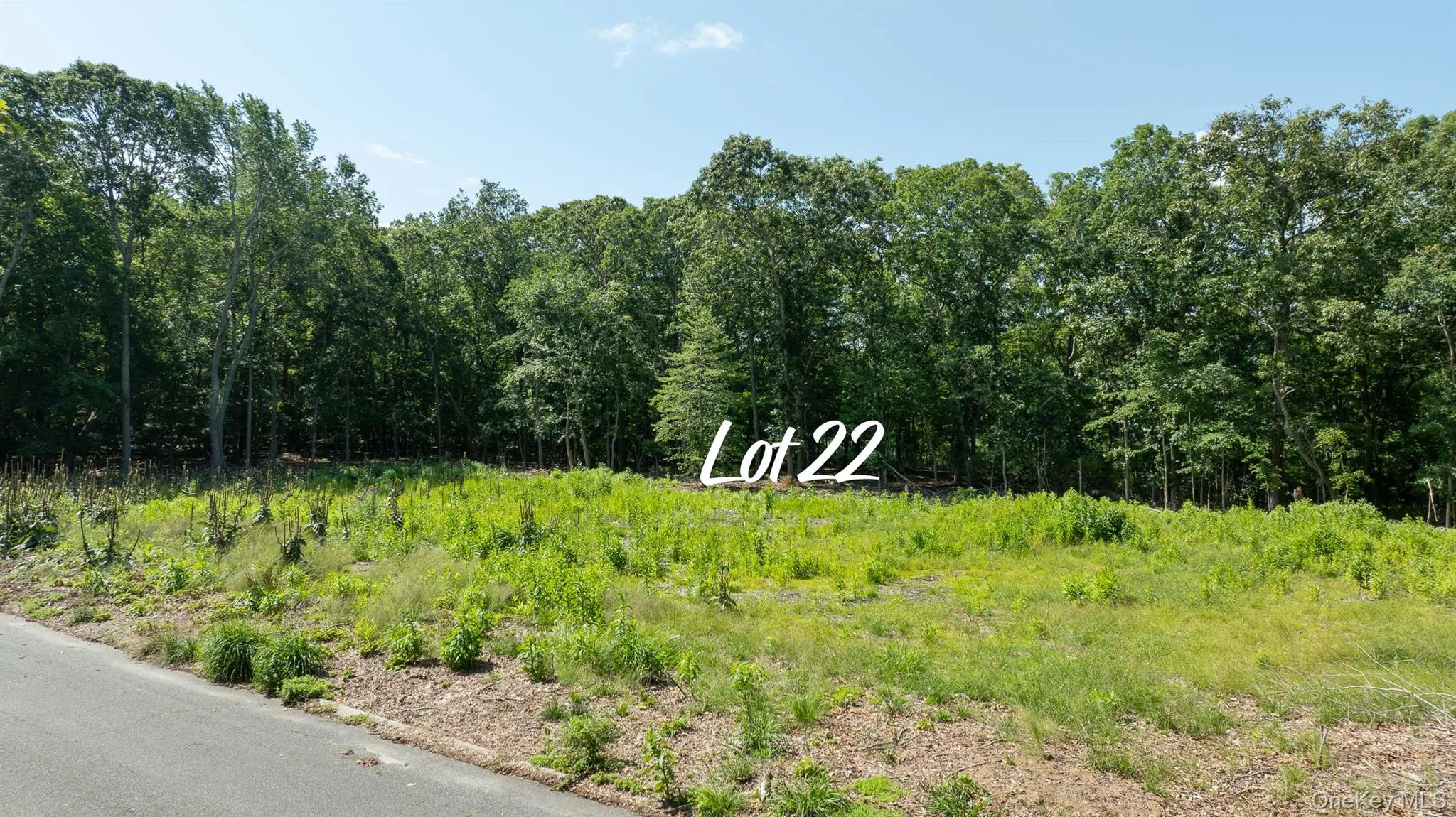 22 Inlet View Path, Brookhaven, NY, ,Residential,For Rent,Inlet View,0,1043624 22 Inlet View Path, Brookhaven, NY, ,Residential,For Rent,Inlet View,0,1043624