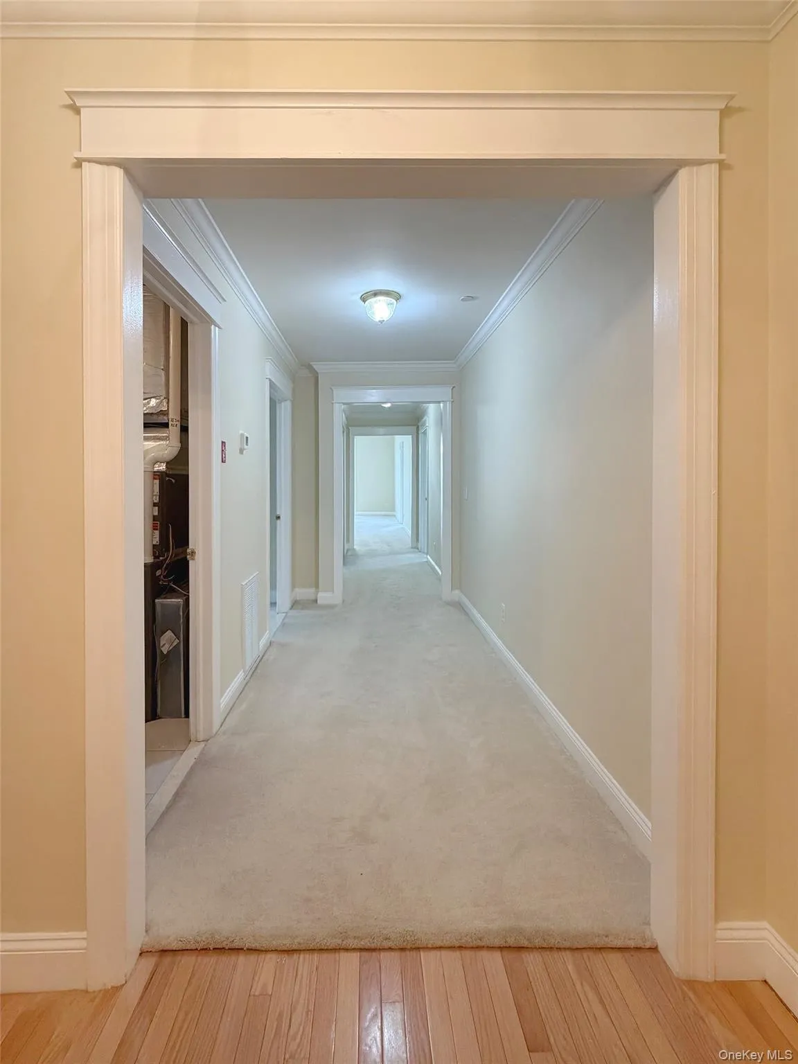 19 Cropsey Street, Warwick (town), NY, 2 Bedrooms Bedrooms, 8 Rooms Rooms,2 BathroomsBathrooms,Residential Lease,For Rent,Cropsey,0,1043628 19 Cropsey Street, Warwick (town), NY, 2 Bedrooms Bedrooms, 8 Rooms Rooms,2 BathroomsBathrooms,Residential Lease,For Rent,Cropsey,0,1043628