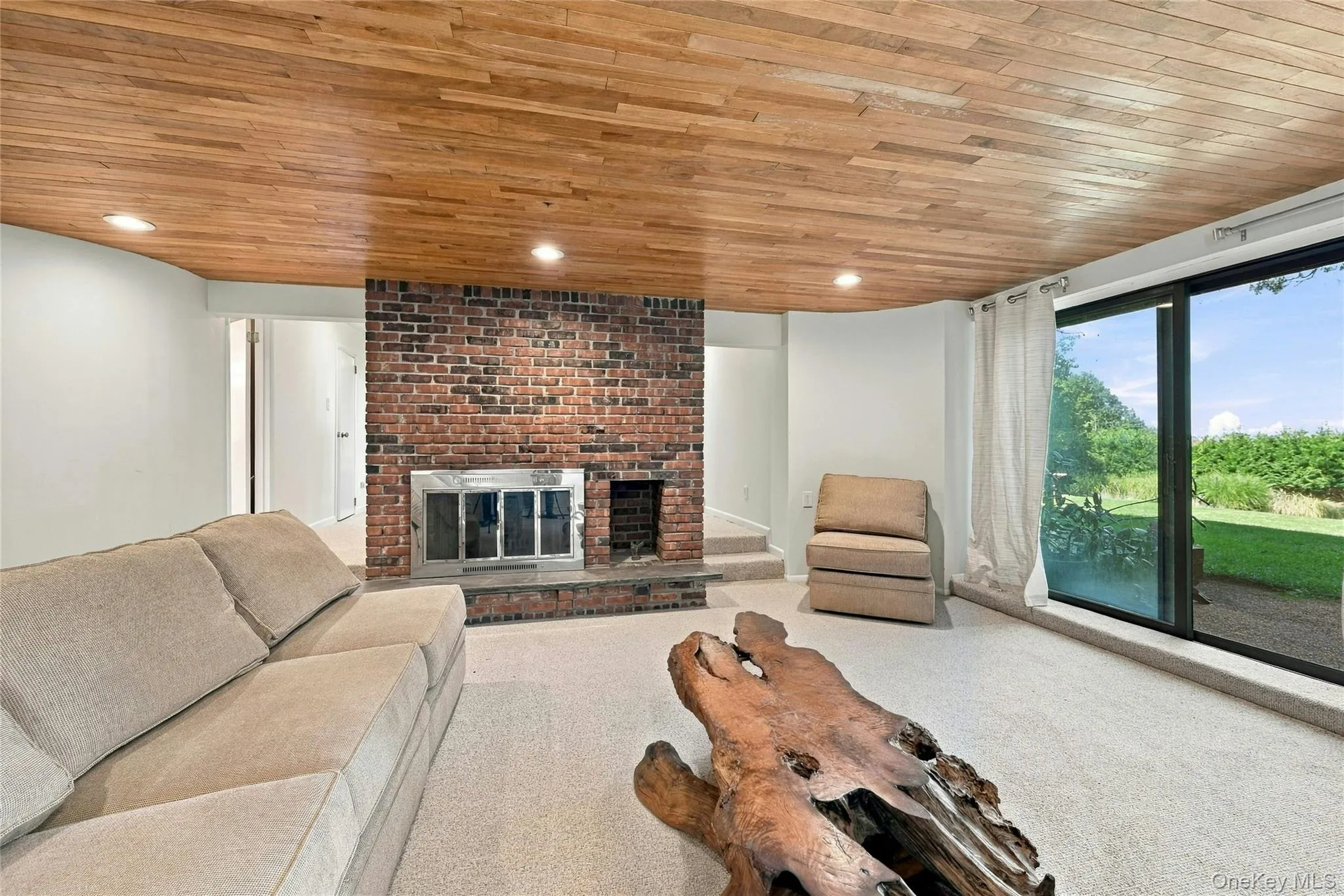 Lower Level Living Space with Fireplace and Separate Entrance to Yard Lower Level Living Space with Fireplace and Separate Entrance to Yard
