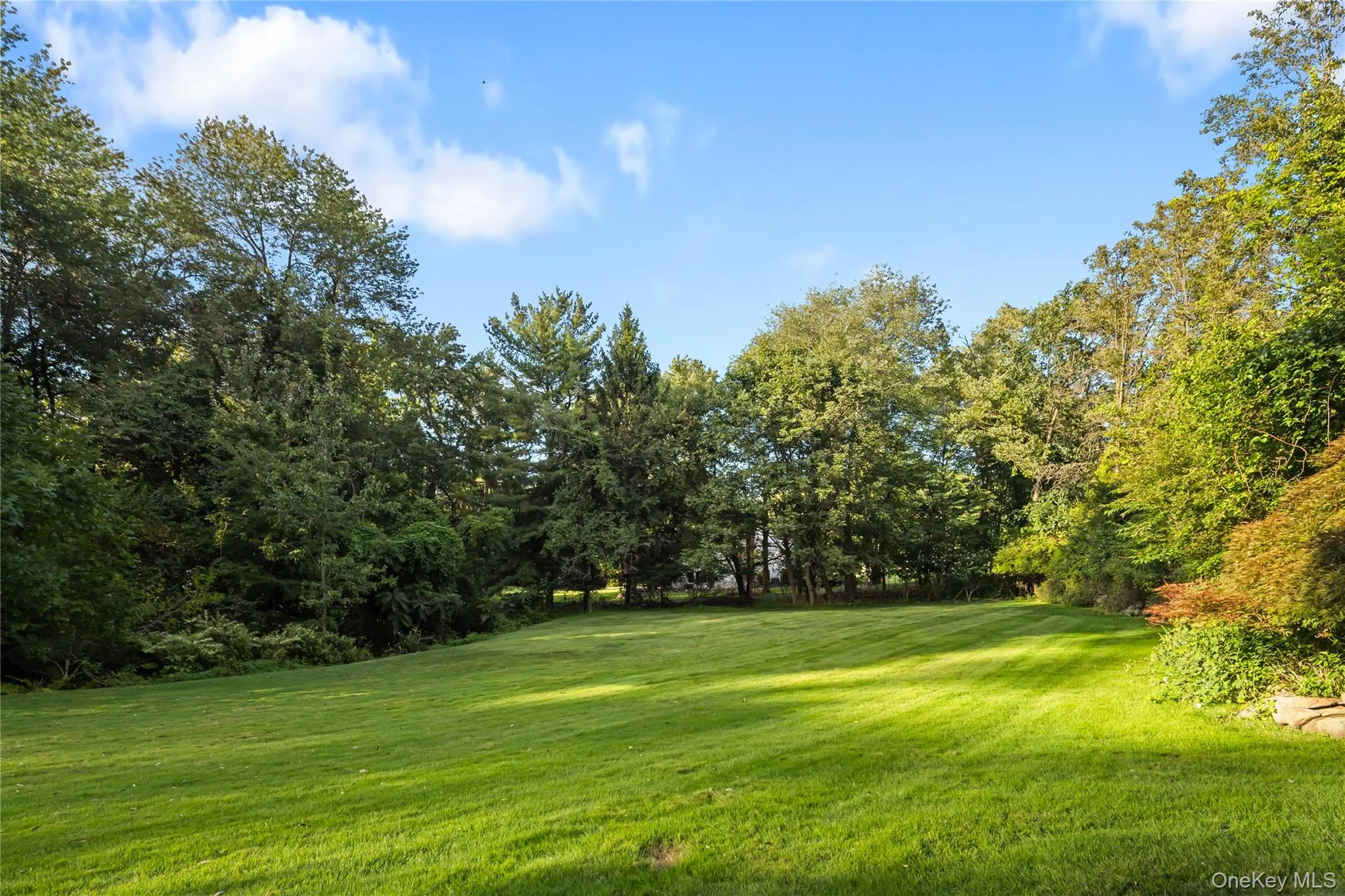 635 Pascack, Ramapo, NY, 4 Bedrooms Bedrooms, 8 Rooms Rooms,1 BathroomBathrooms,Residential,For Rent,Pascack,0,1043666 635 Pascack, Ramapo, NY, 4 Bedrooms Bedrooms, 8 Rooms Rooms,1 BathroomBathrooms,Residential,For Rent,Pascack,0,1043666