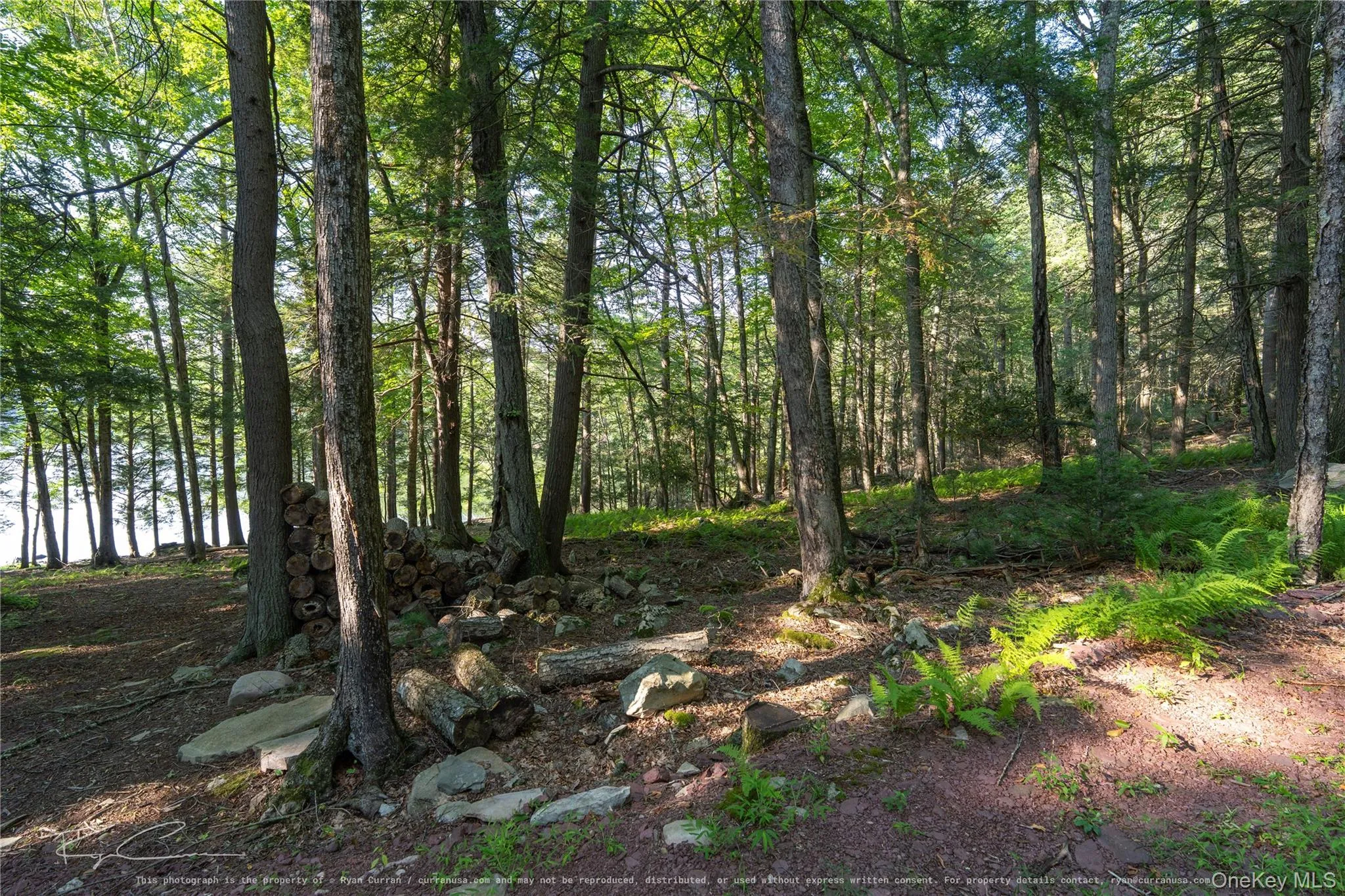 Old Plank Road, Forestburgh, NY, ,Land,For Rent,Old Plank,0,1043667 Old Plank Road, Forestburgh, NY, ,Land,For Rent,Old Plank,0,1043667